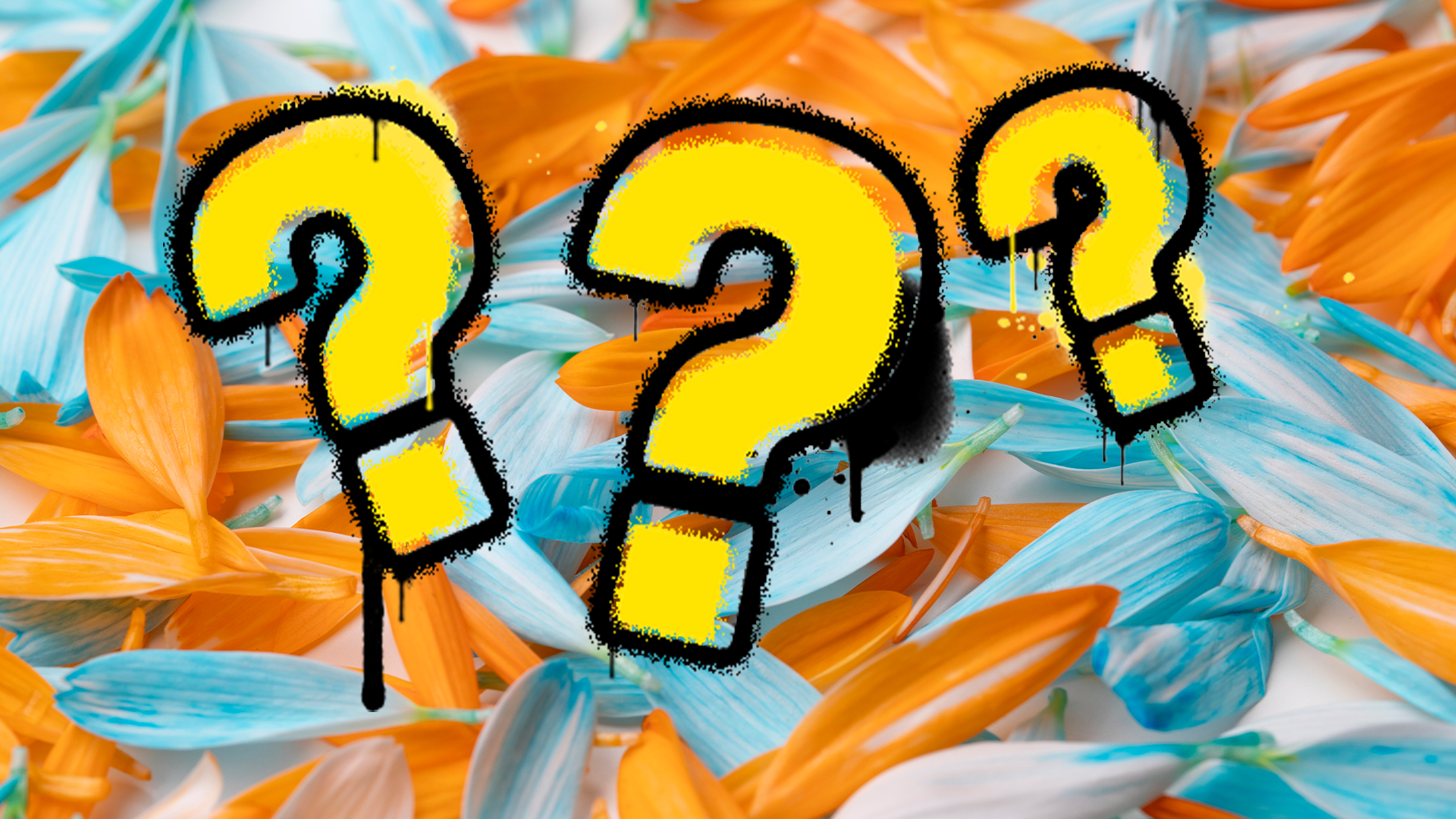 Blue and orange flower background with graffiti question marks