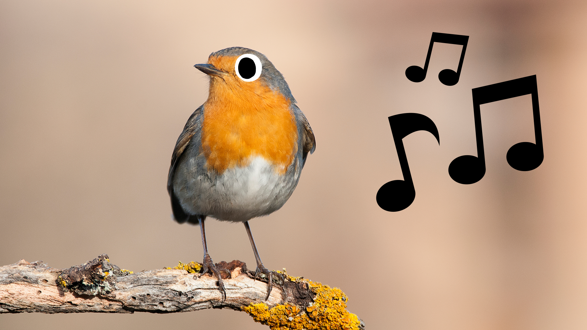 Robin on branch with musical notes