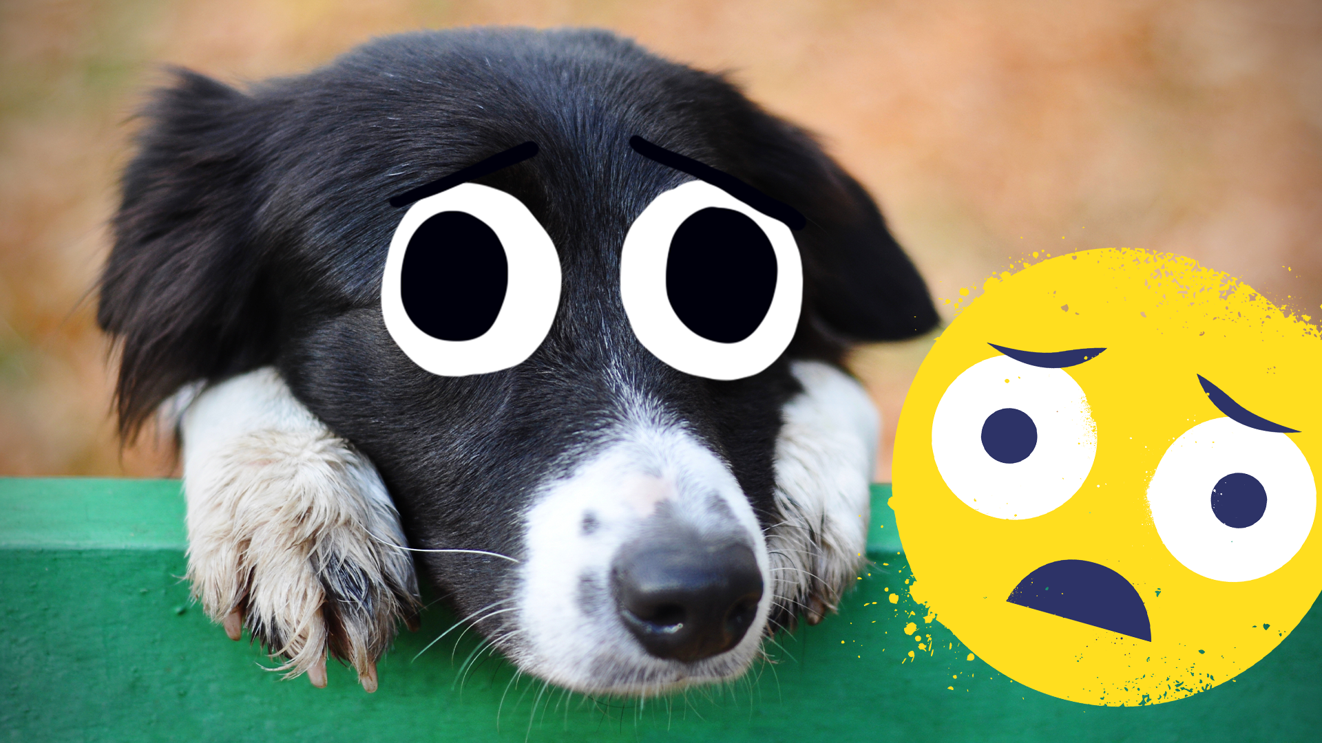 Sad looking dog with sad Beano emoji 