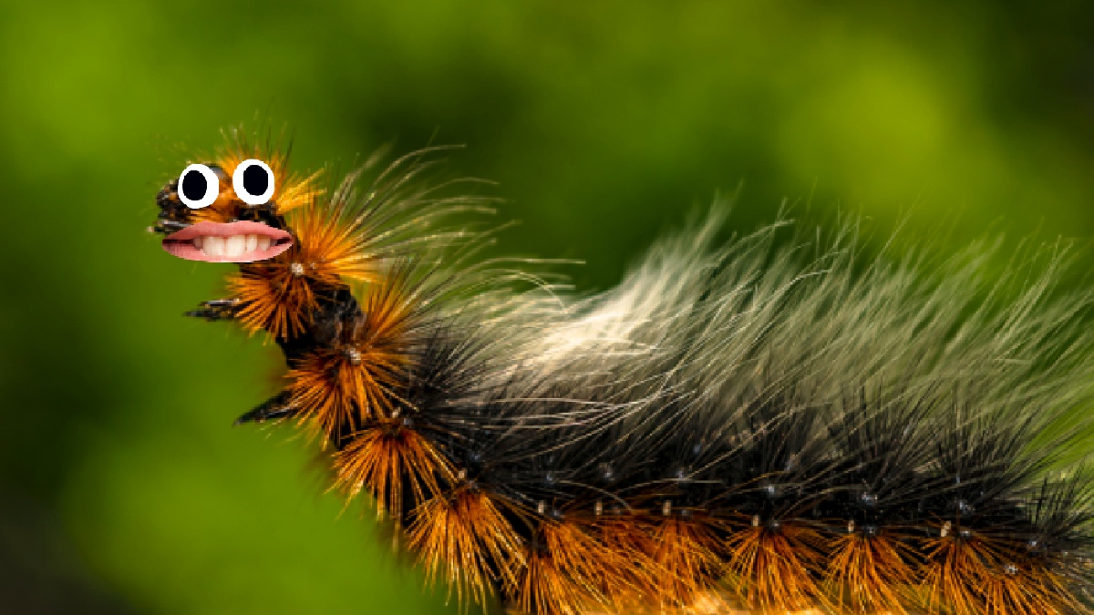 12pcs Live Like Caterpillar Toy Insect Caterpillars Animal Mischief Joke Kid Toy 