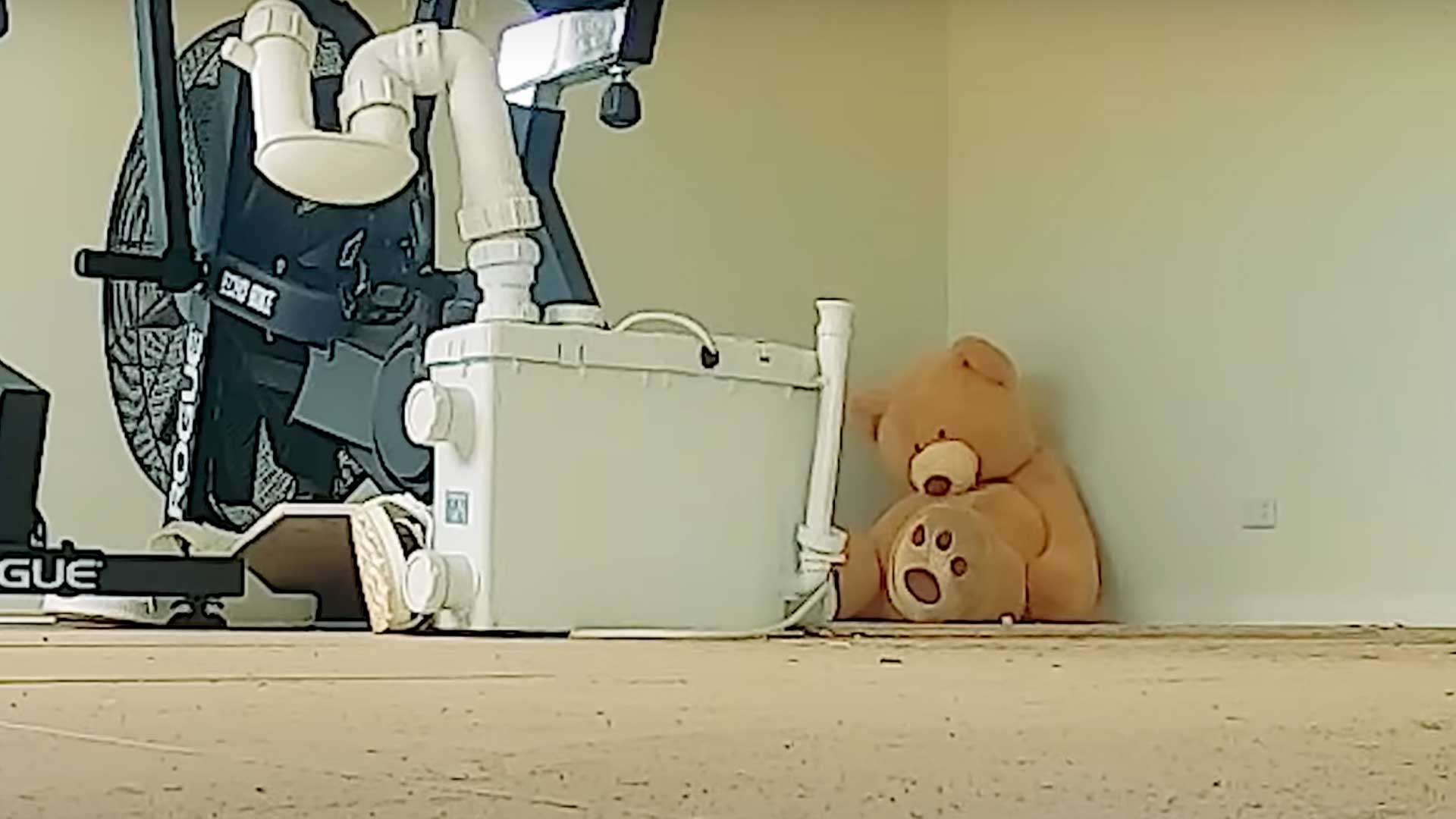 A giant teddy bear in a home gym