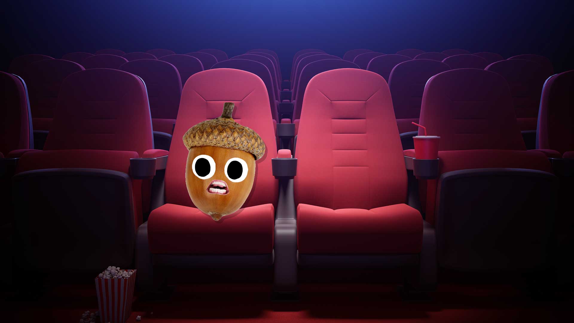 An acorn on a cinema seat