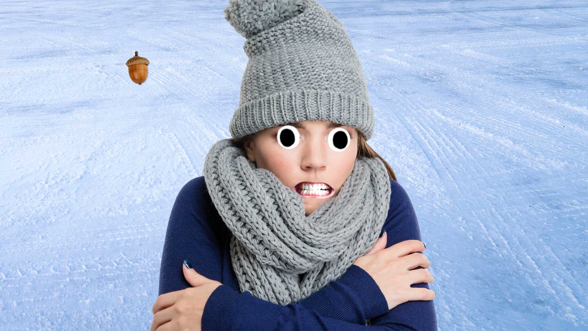 A woman in a hat and scarf with an acorn on an icy background