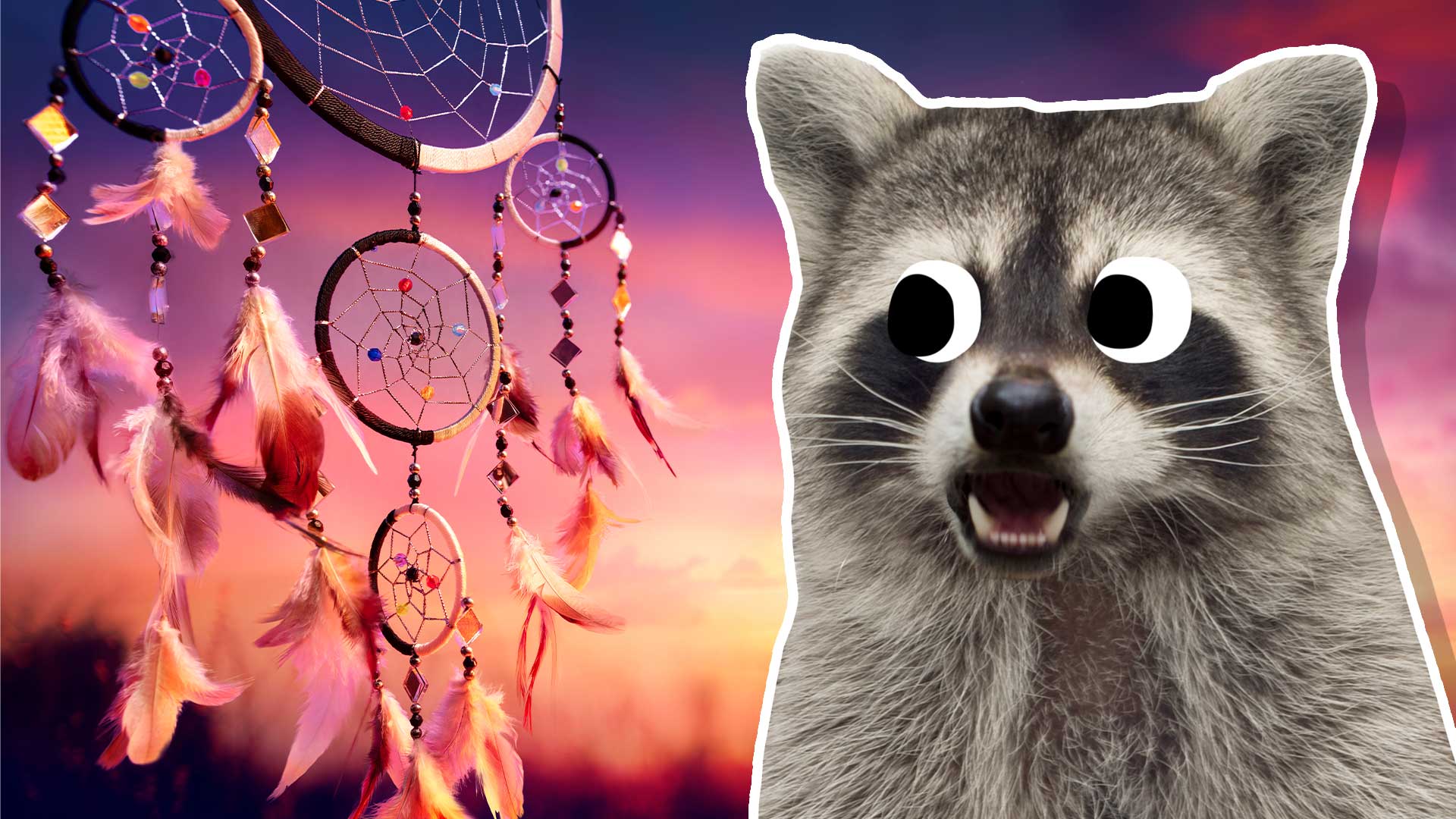 A dreamcatcher and a racoon