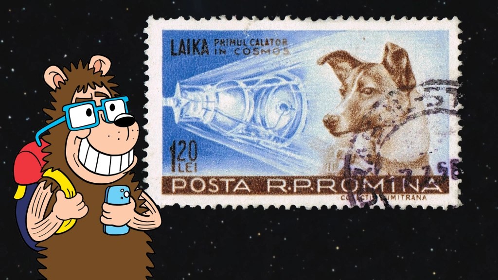 Laika the Space dog