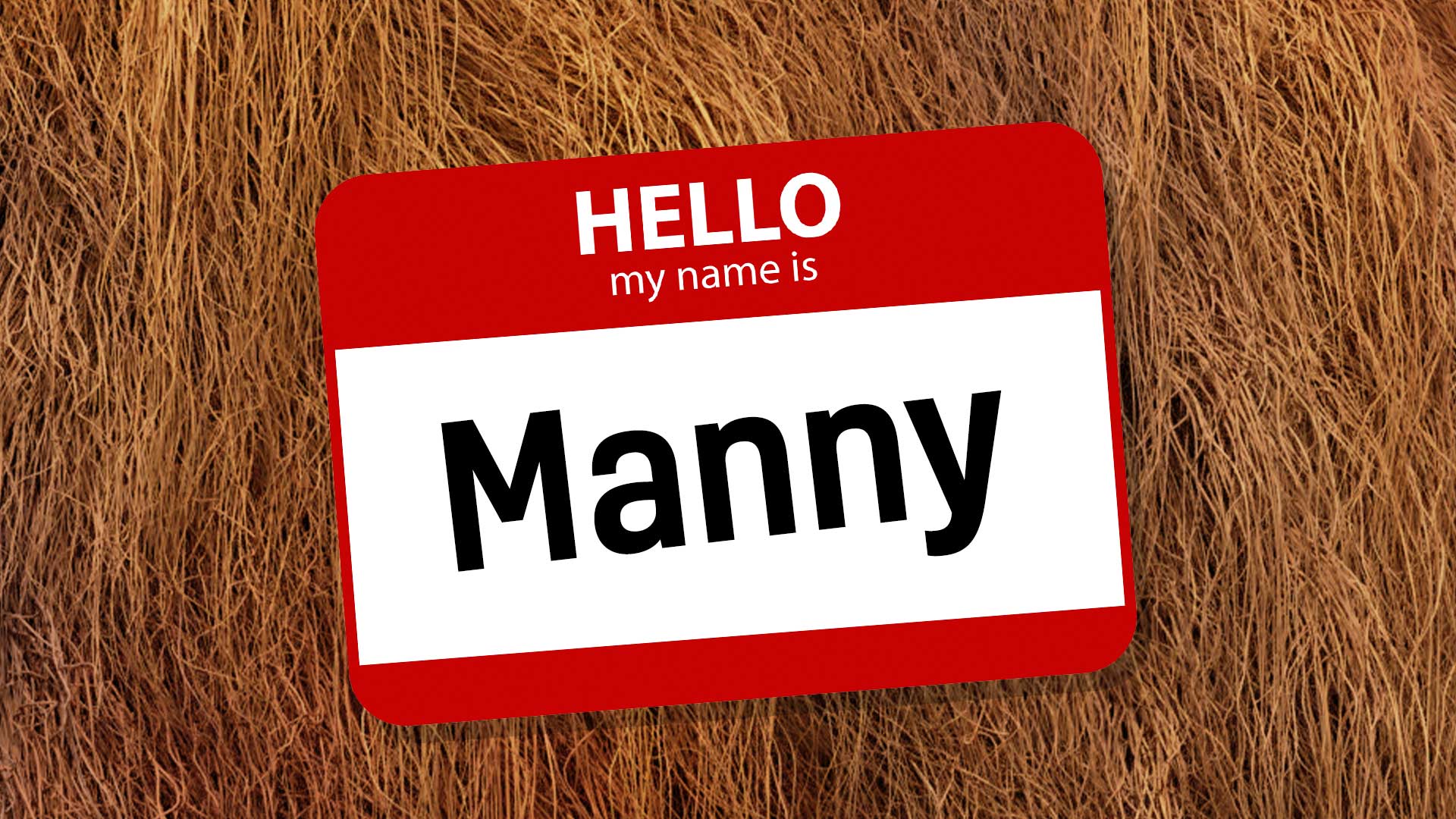 A name badge with Manny written on it