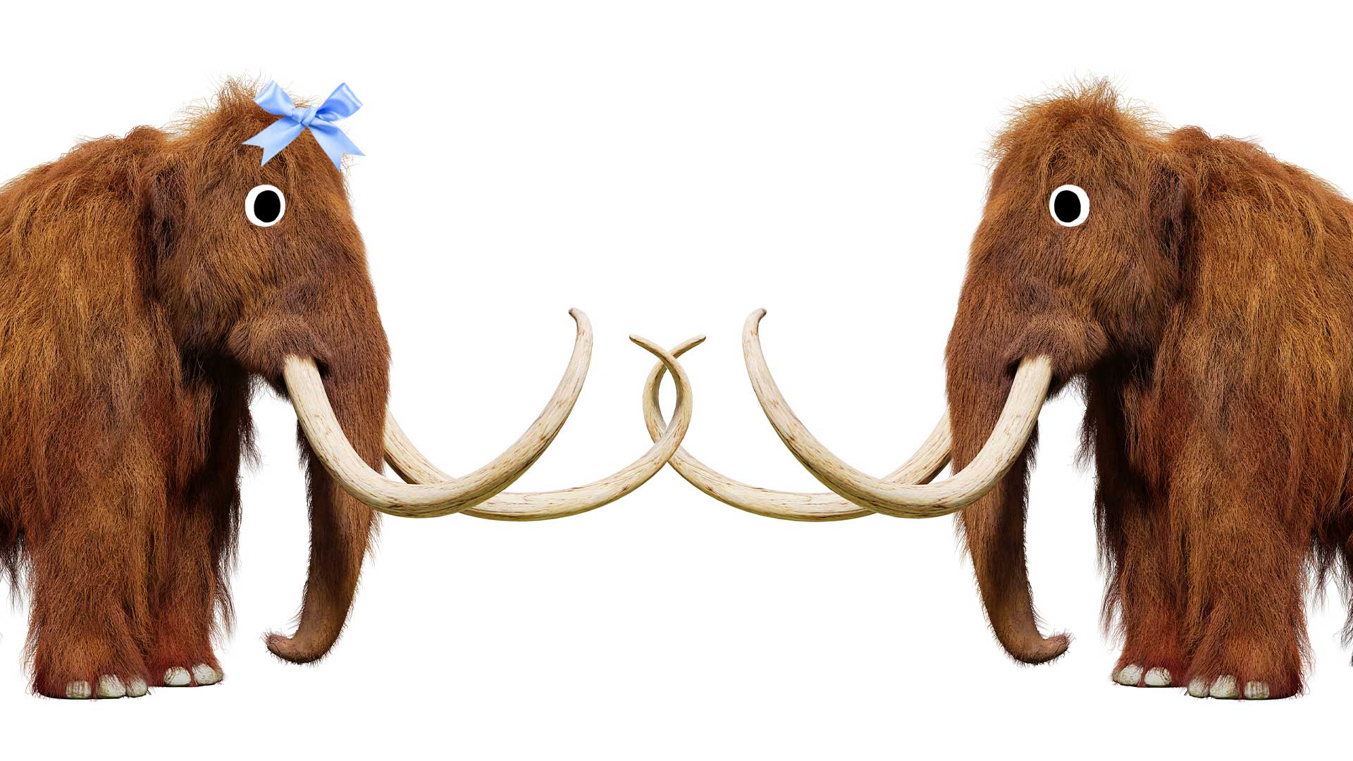 Two wooly mammoths facing each other
