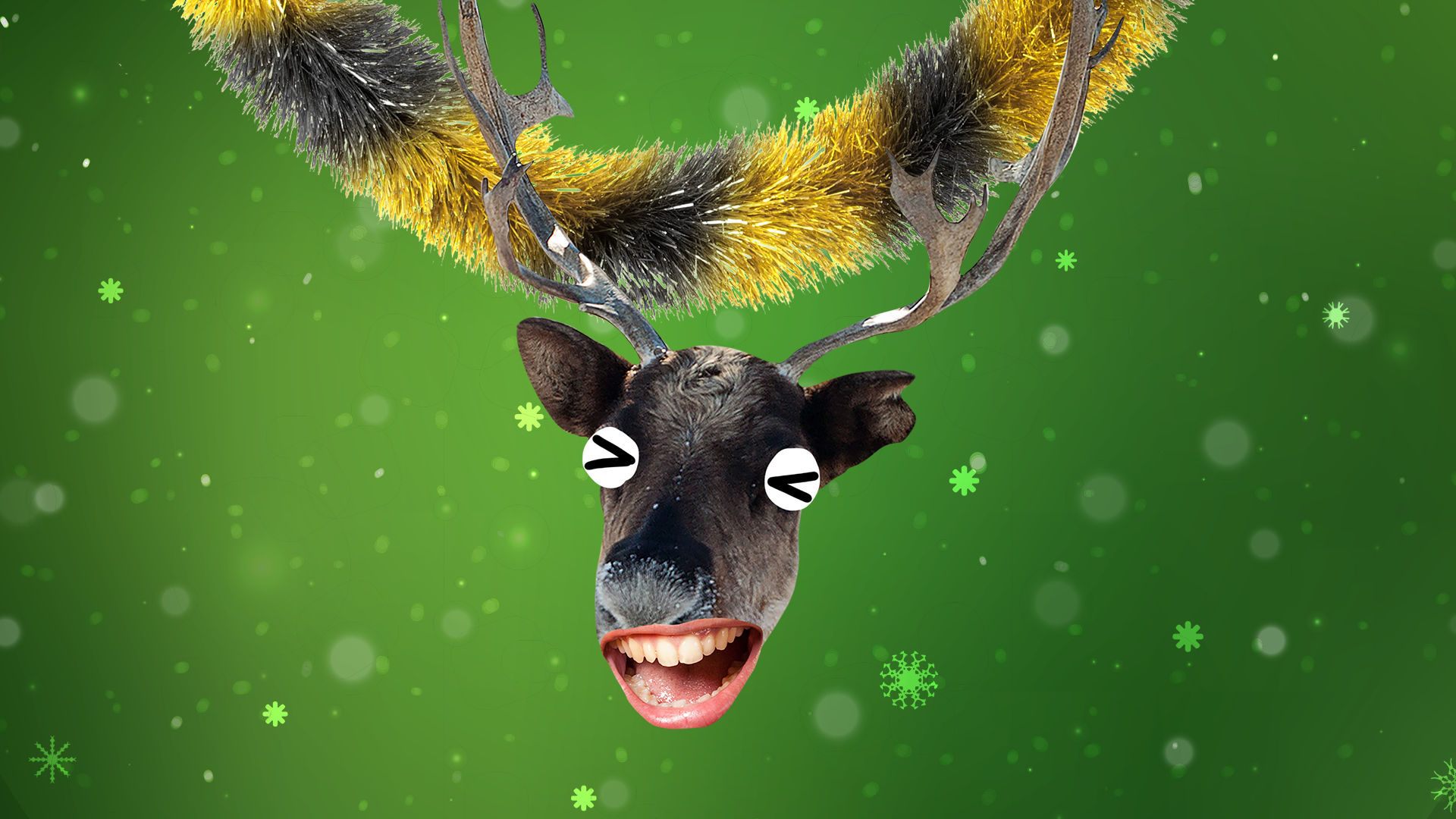 Beano reindeer head with tinsel on green Christmas background