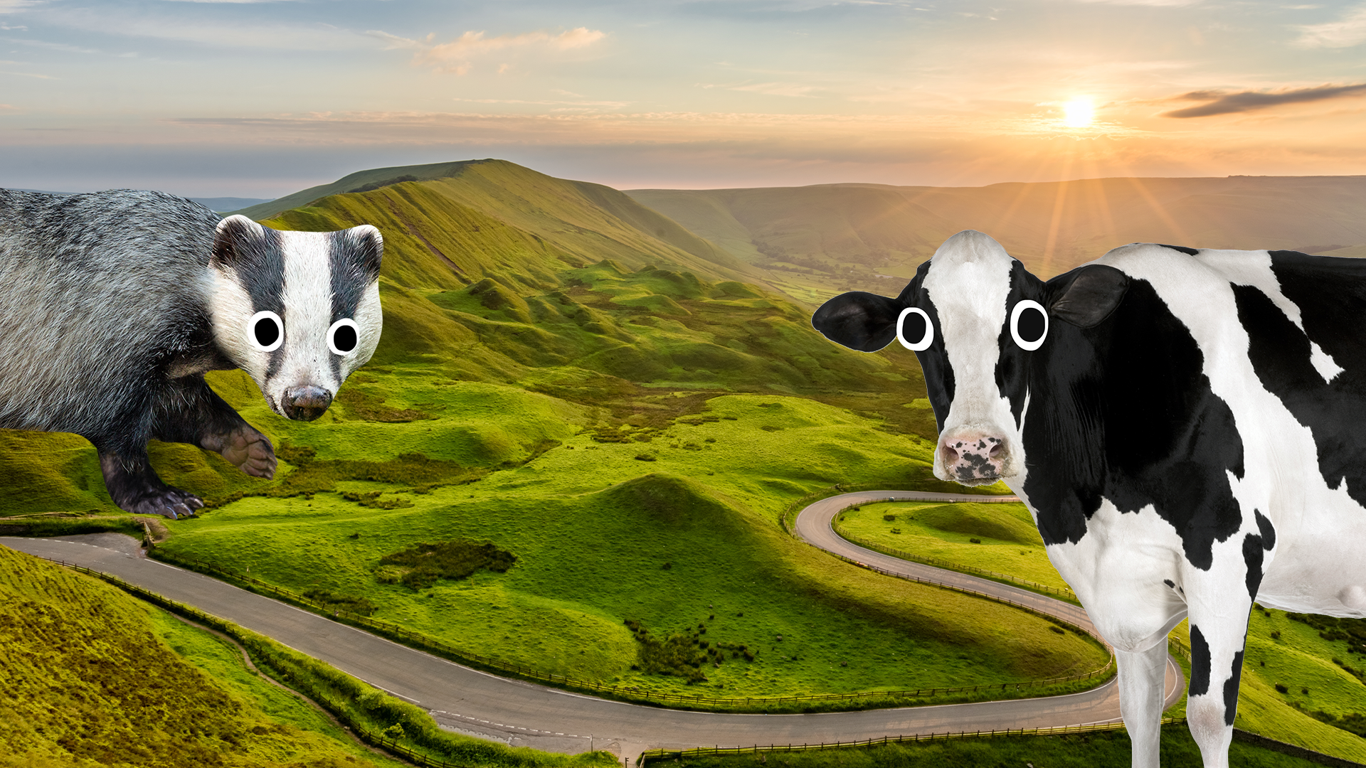 Landscape with Beano badger and cow 