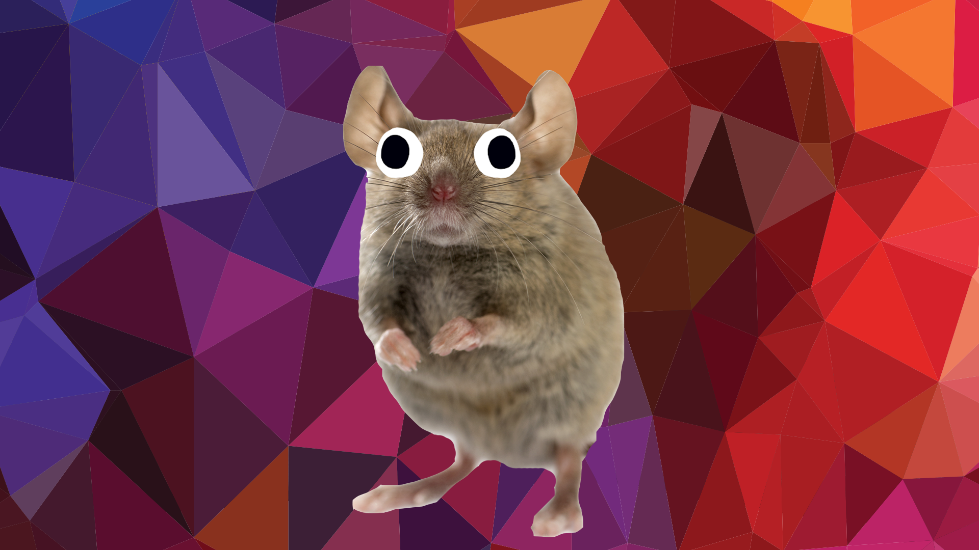 Beano mouse on triangle background 