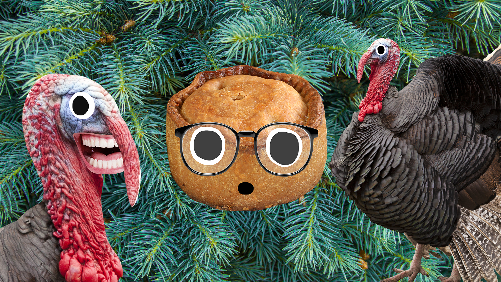 Beano turkeys and pie on fir tree background 