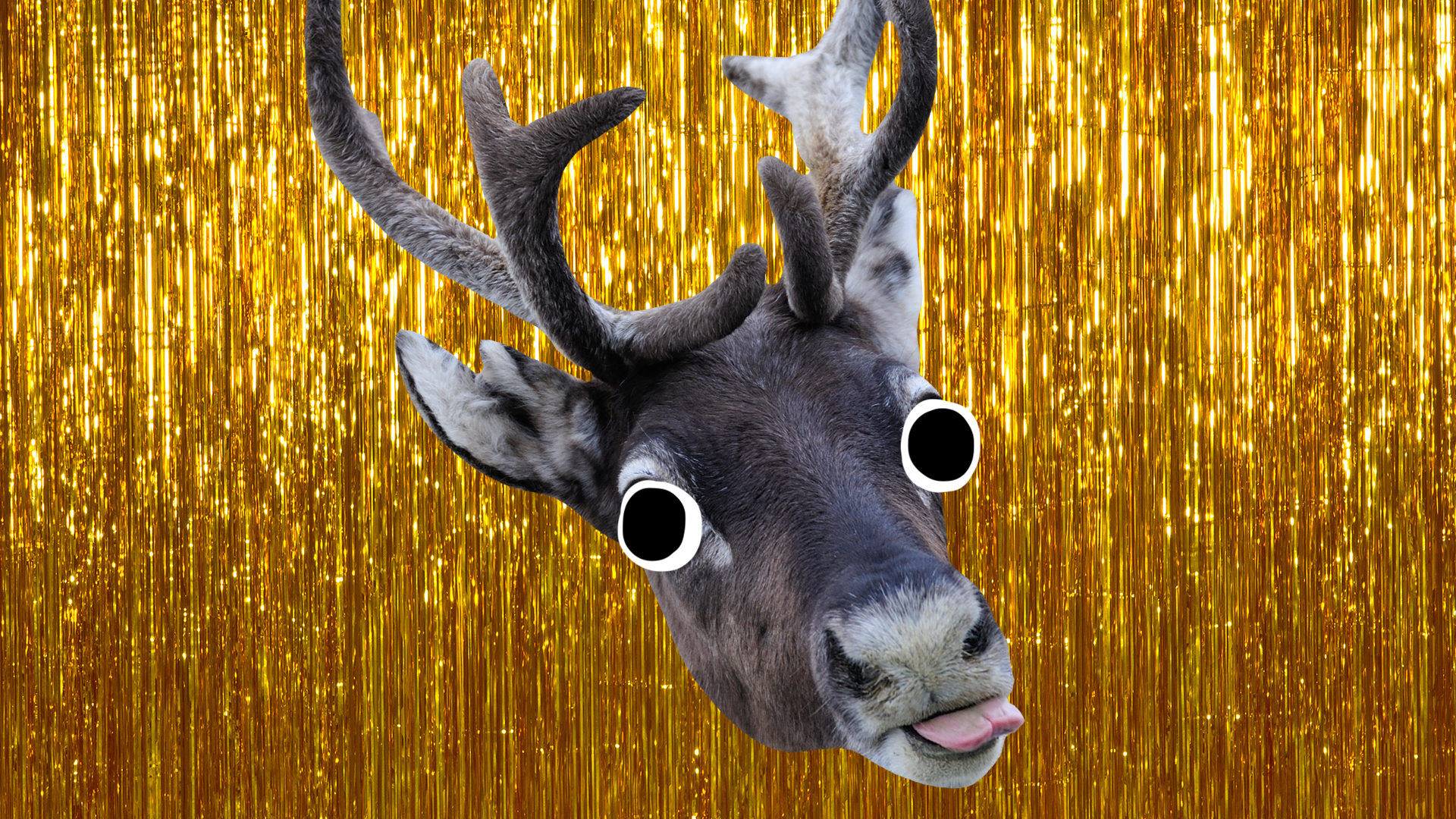 Beano reindeer head on tinsel background