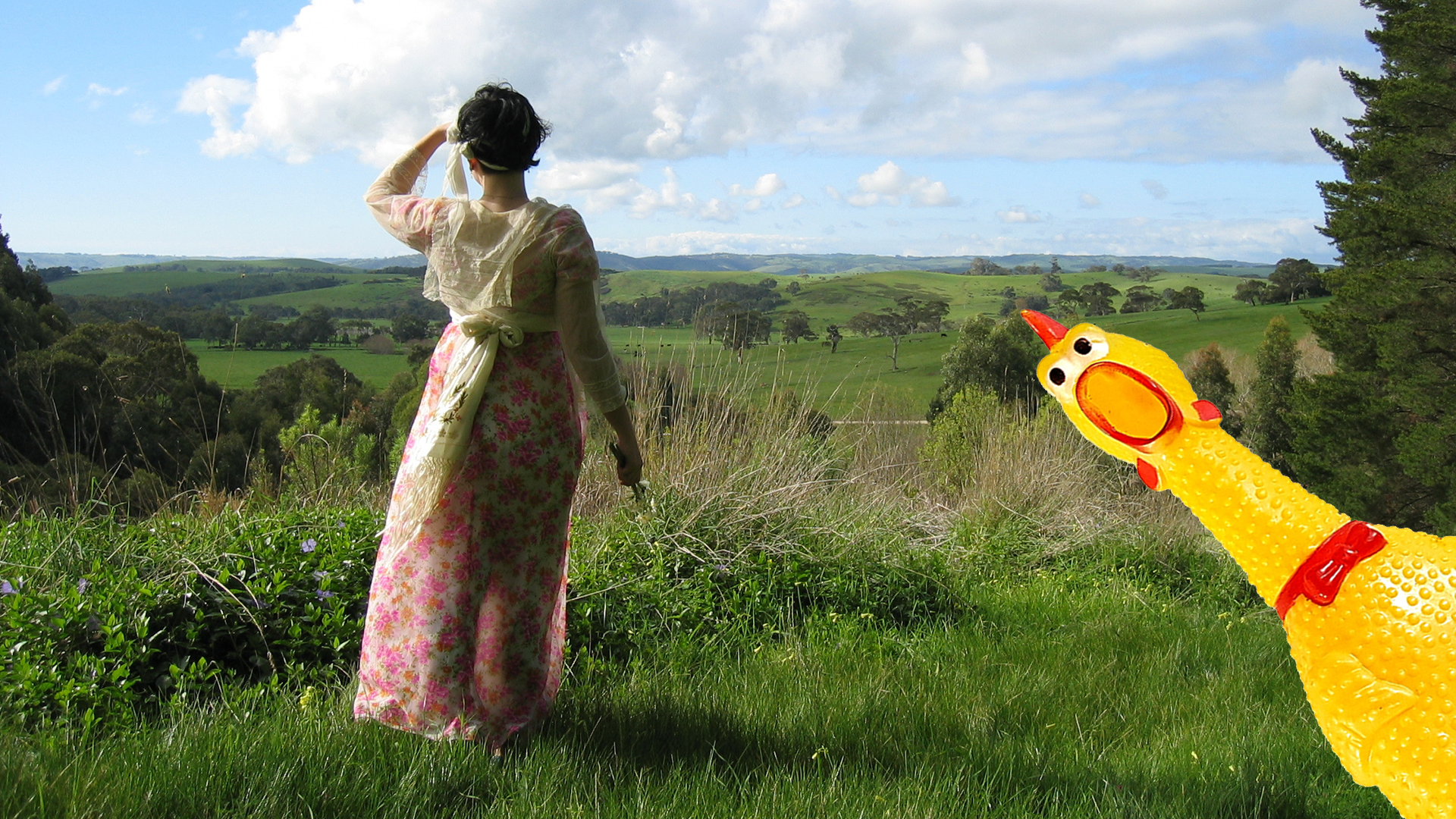 Woman in period dress staring out across the landscape