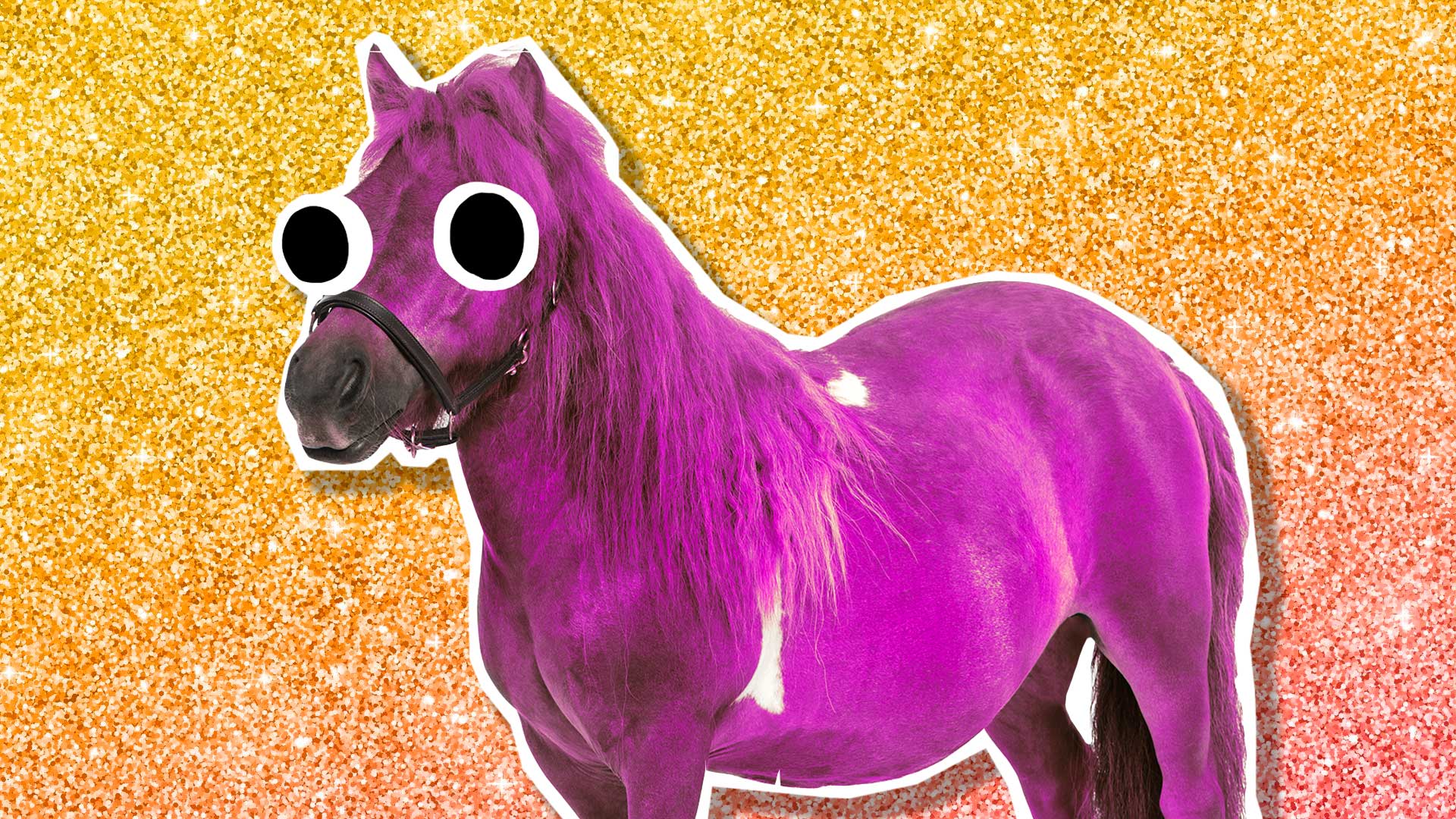 A pink pony