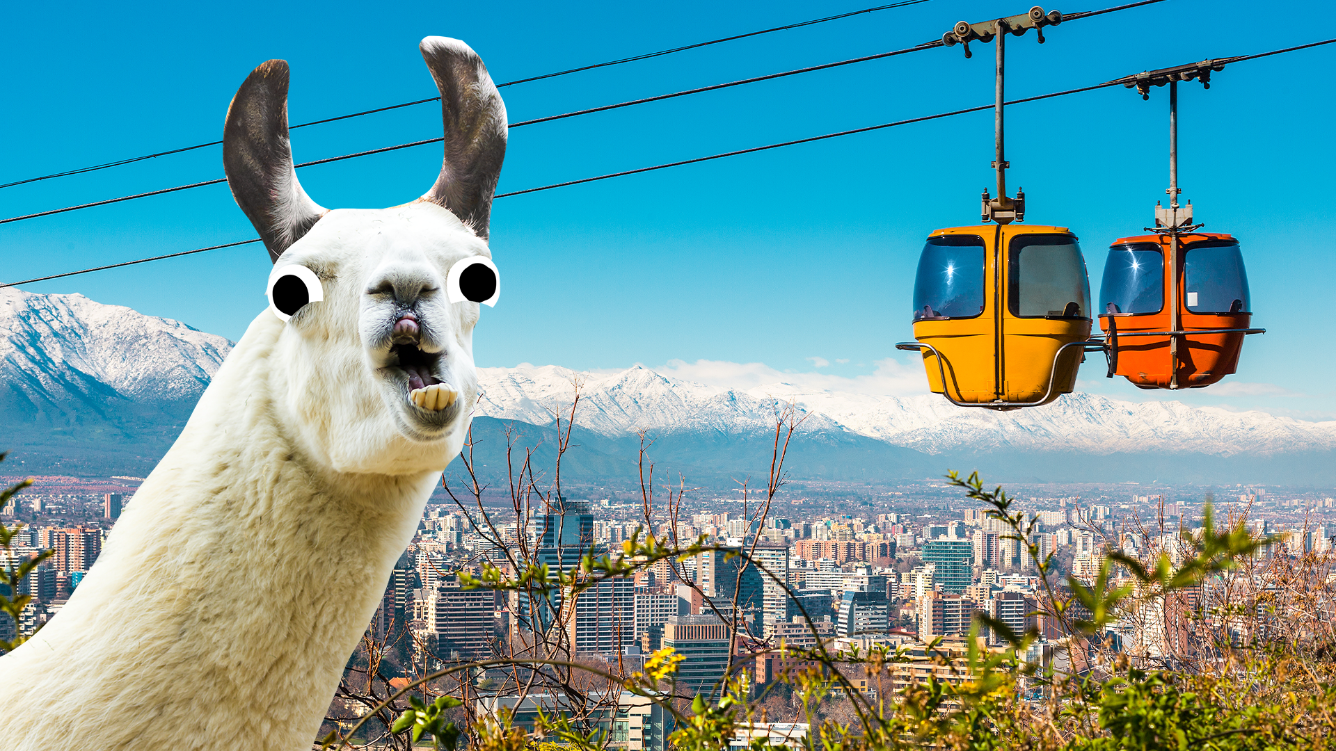 Llama and scene of South American country