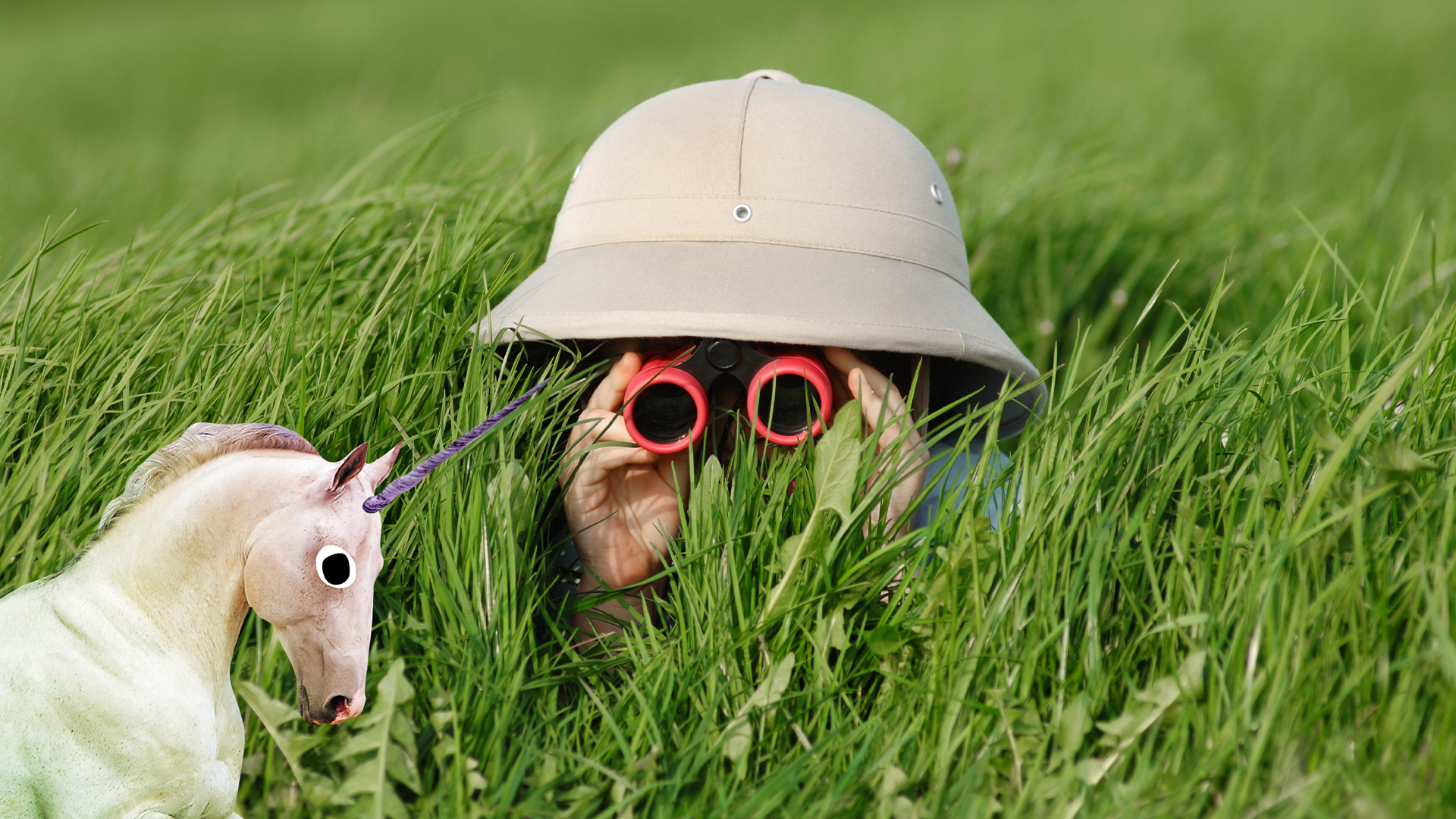 Boy with binoculars in grass with Beano unicorn