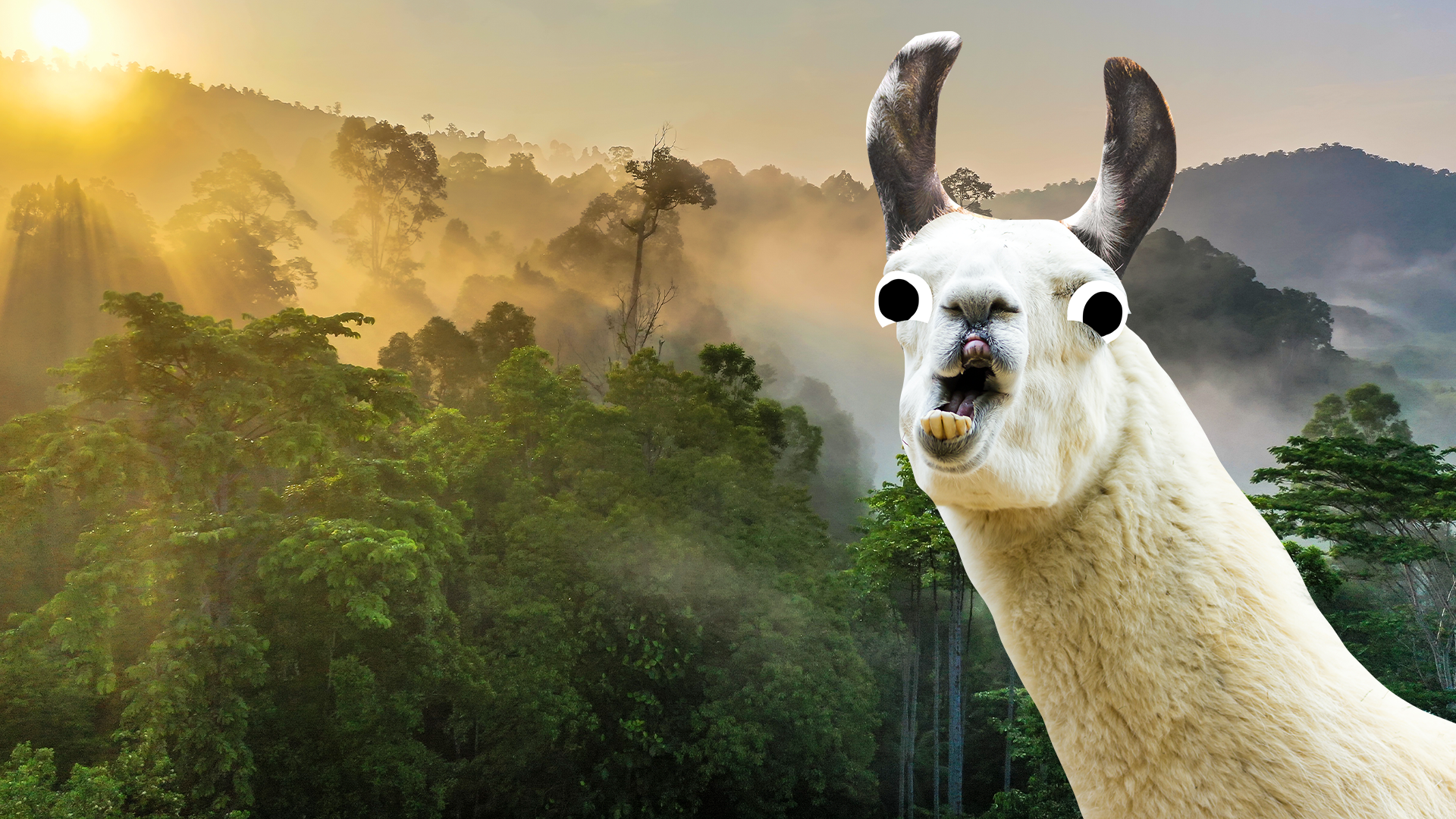 Llama and rainforest background 