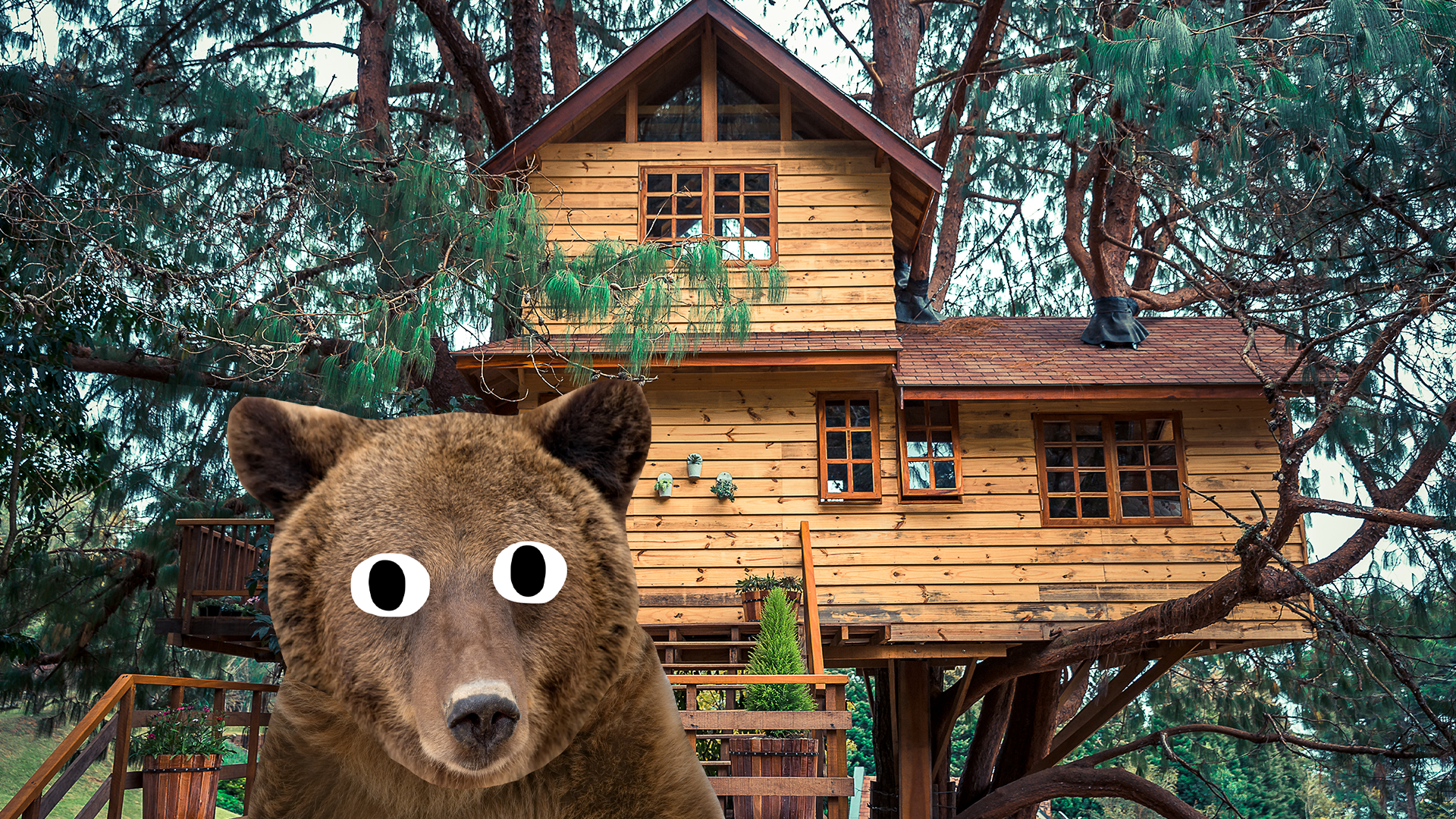 Beano bear and treehouse