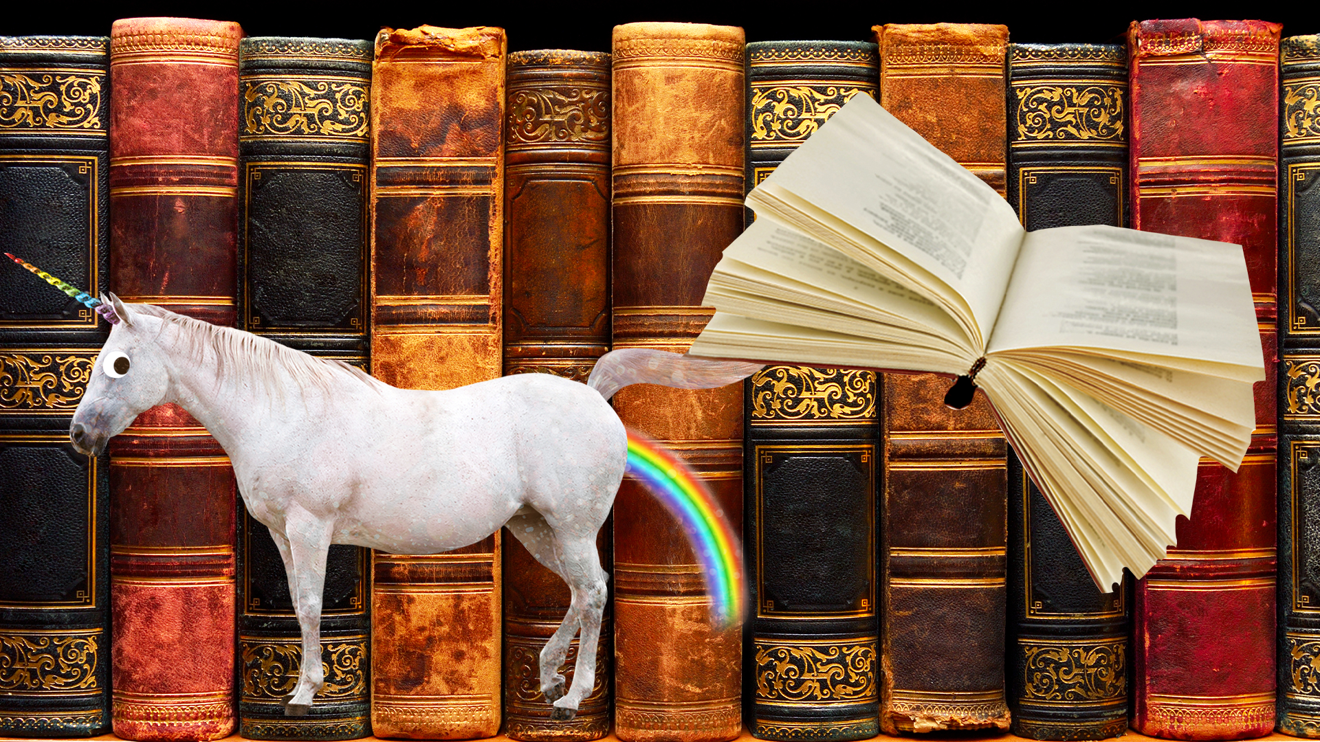 Books and farting unicorn
