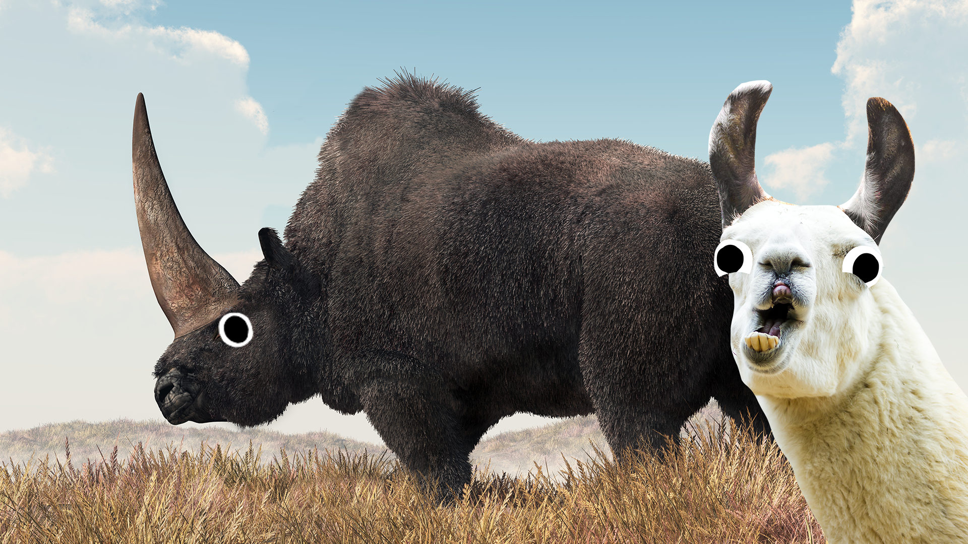 Derpy llama and giant rhino