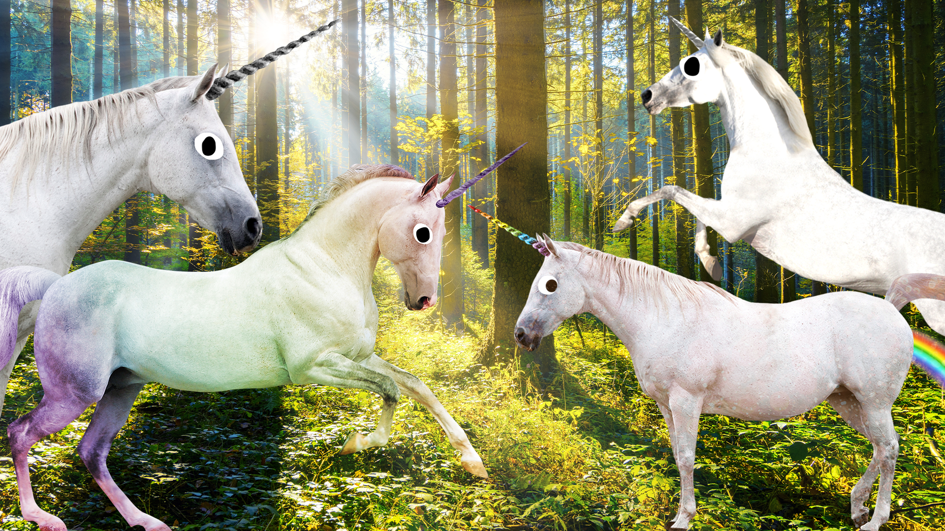 Lots of unicorns in a forest 