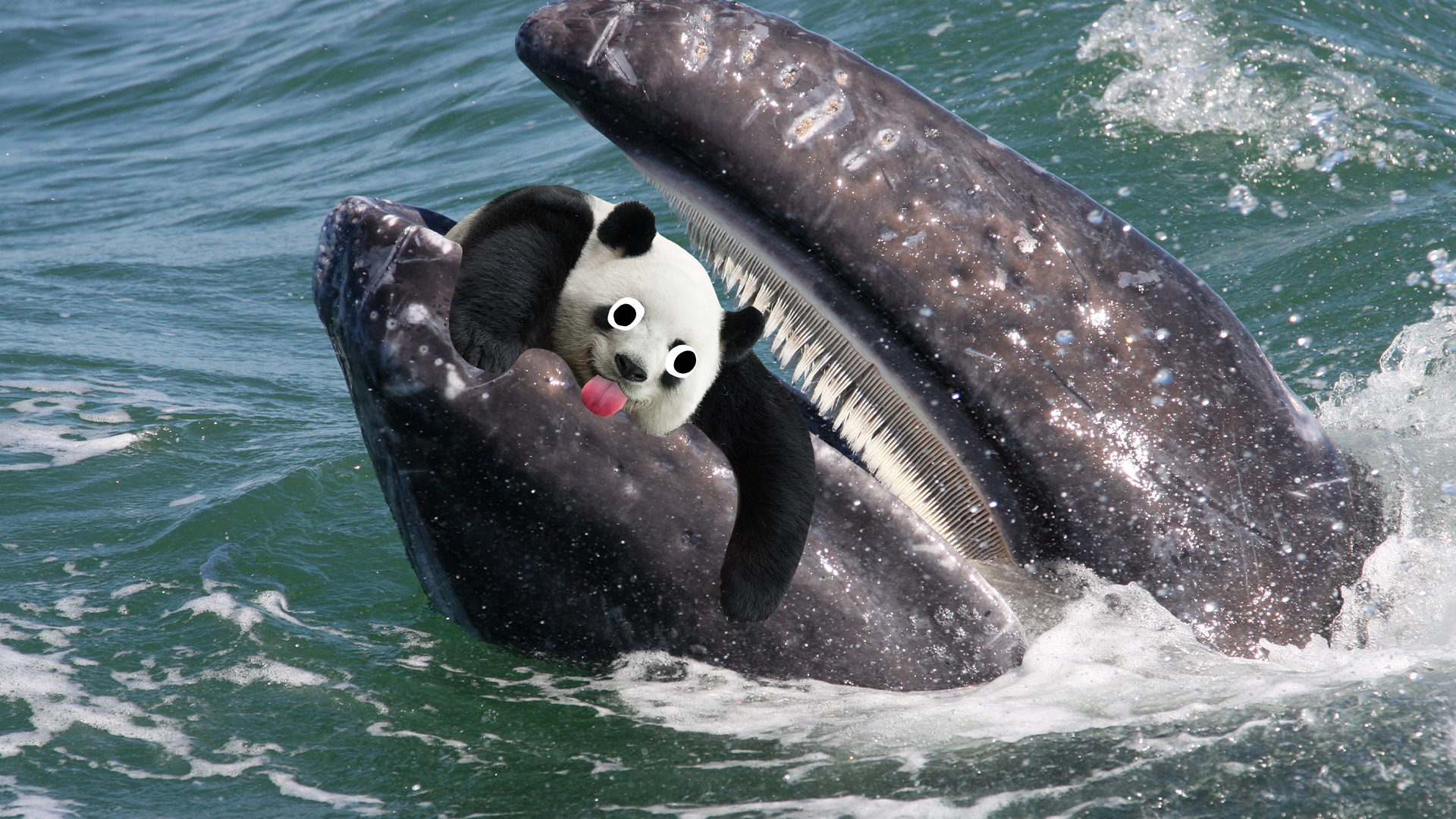 Whale with derpy panda in its mouth