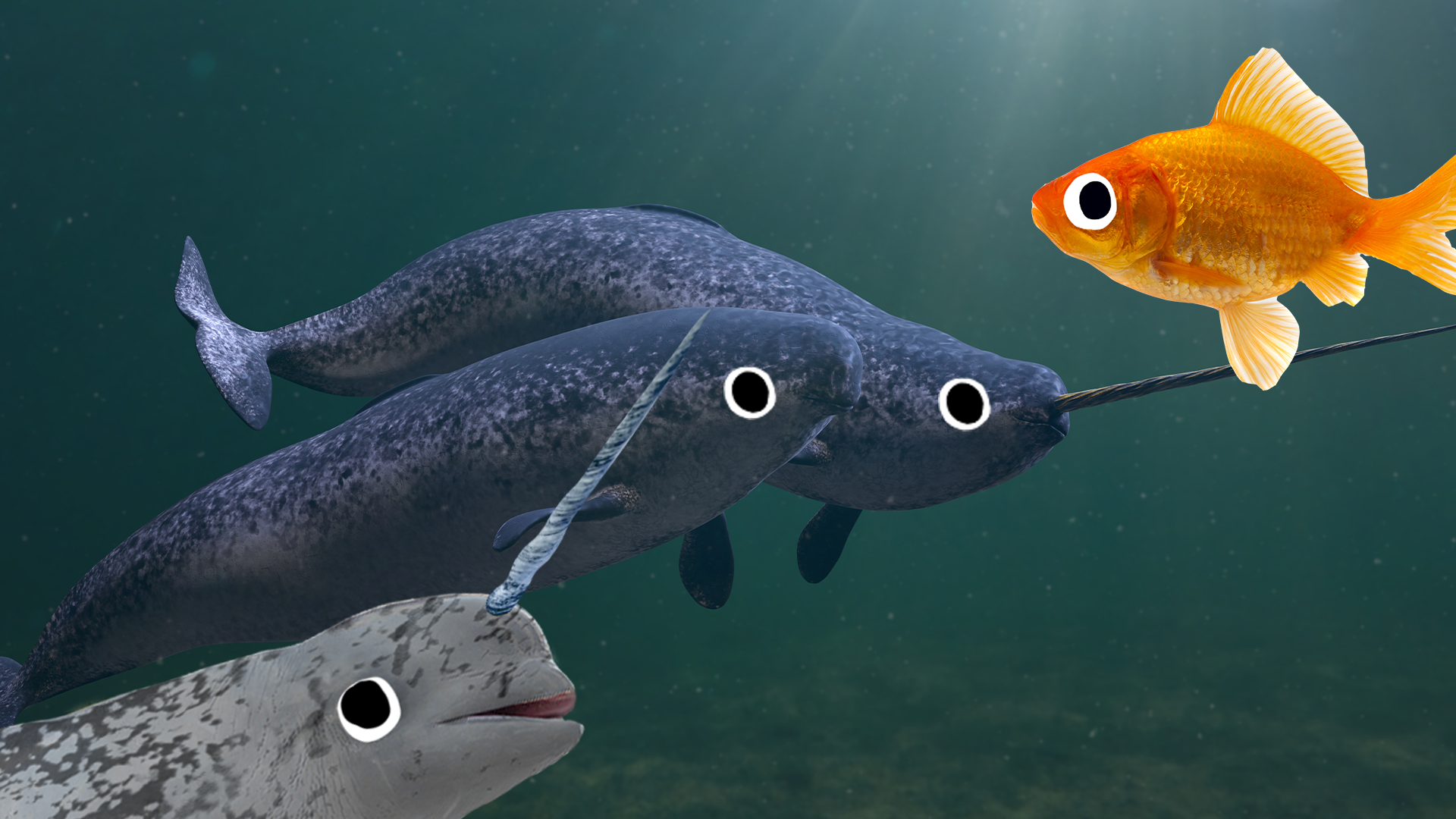 Narwhals and goldfish