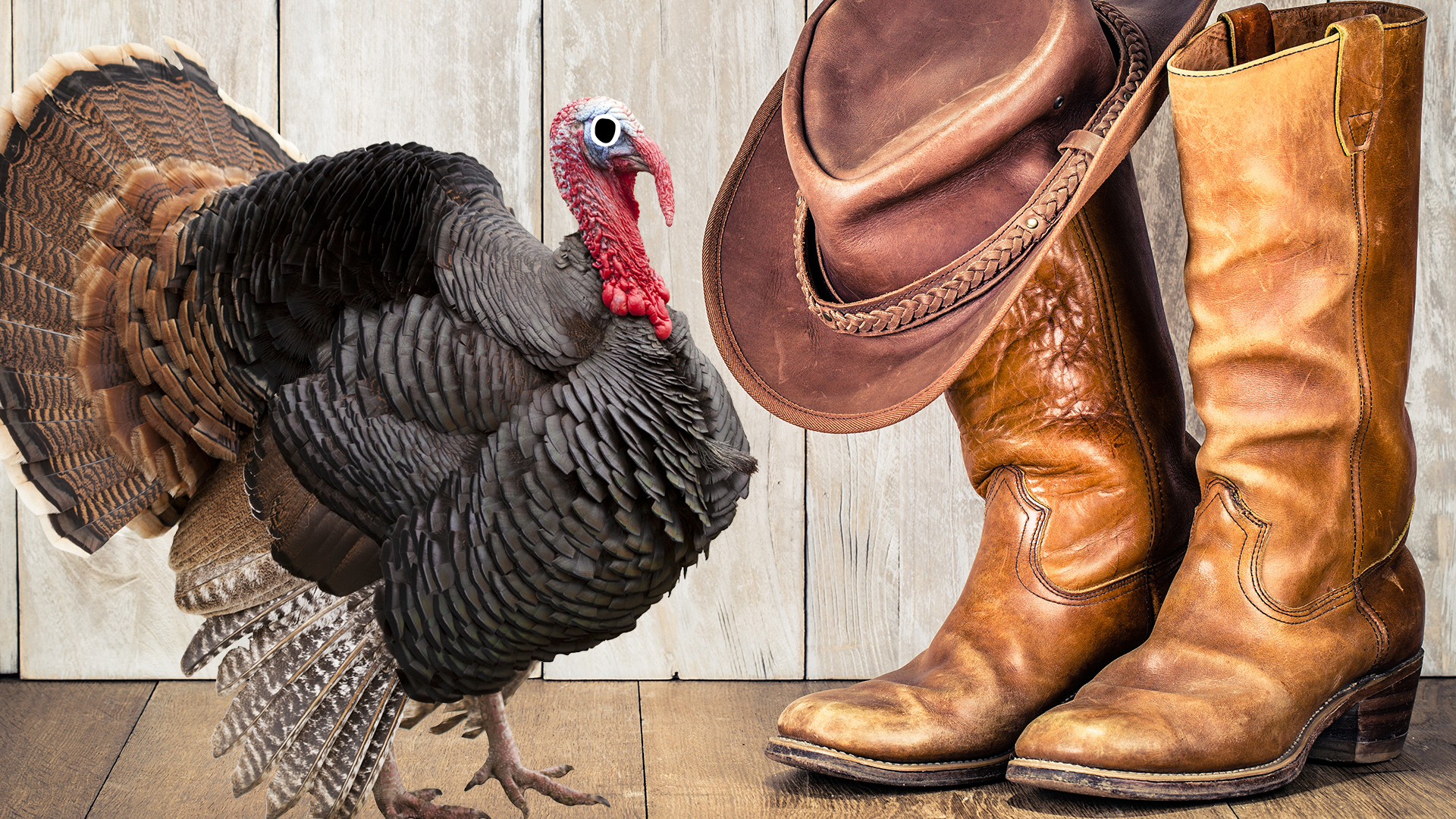Cowboy boots and hat with Beano turkey
