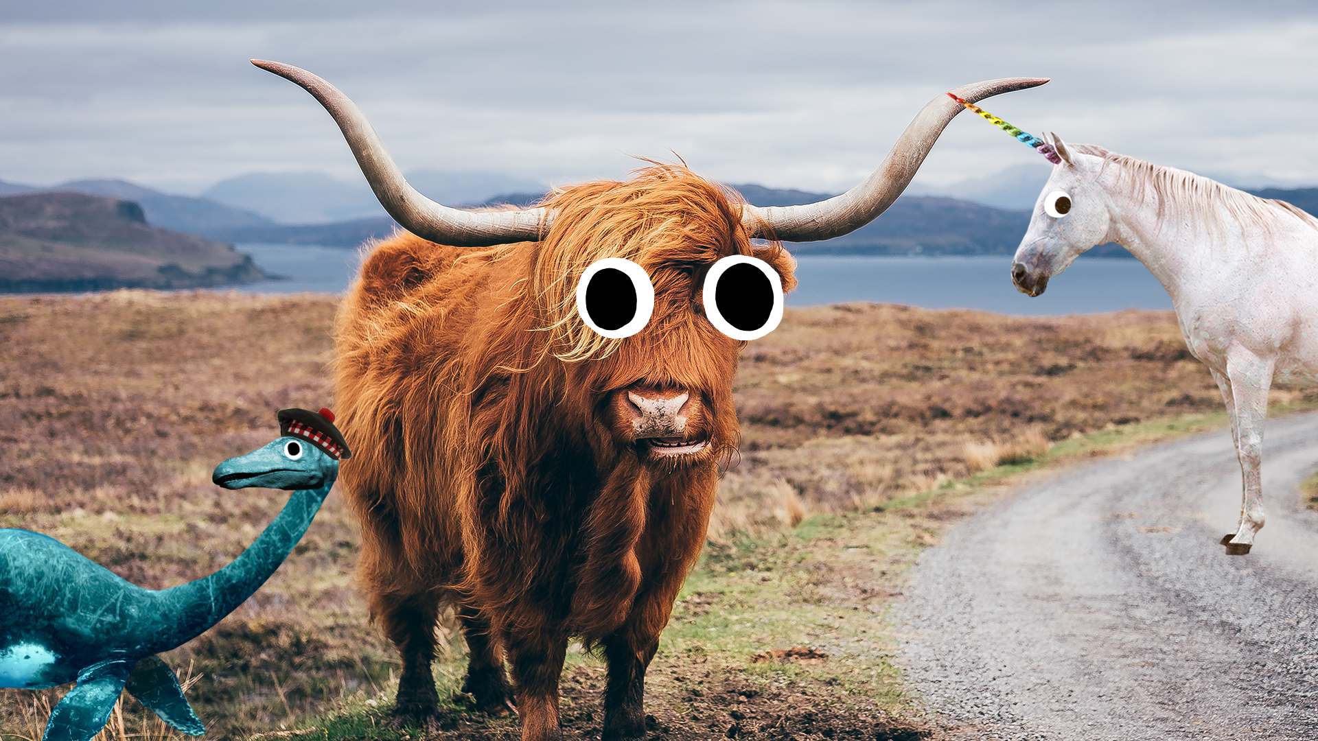Highland cow, Nessie and unicorn on moor