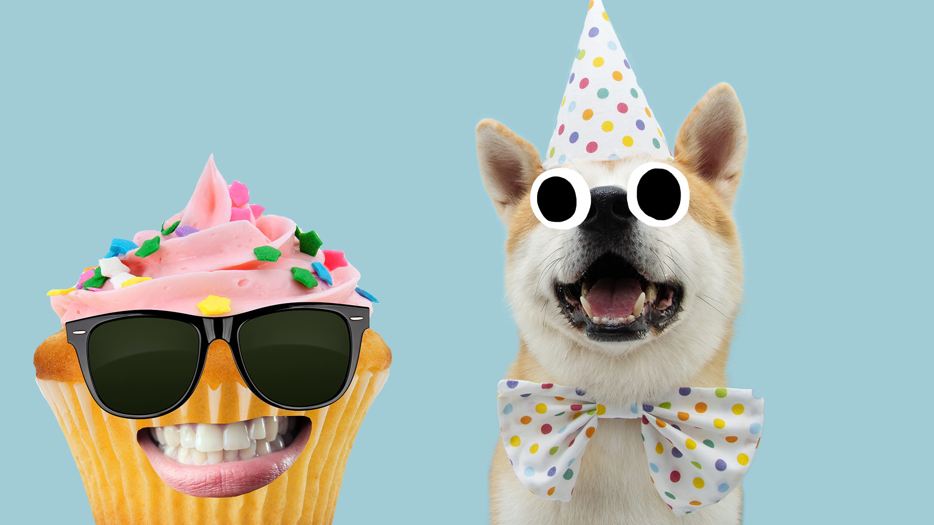 Birthday dog with Beano cupcake 