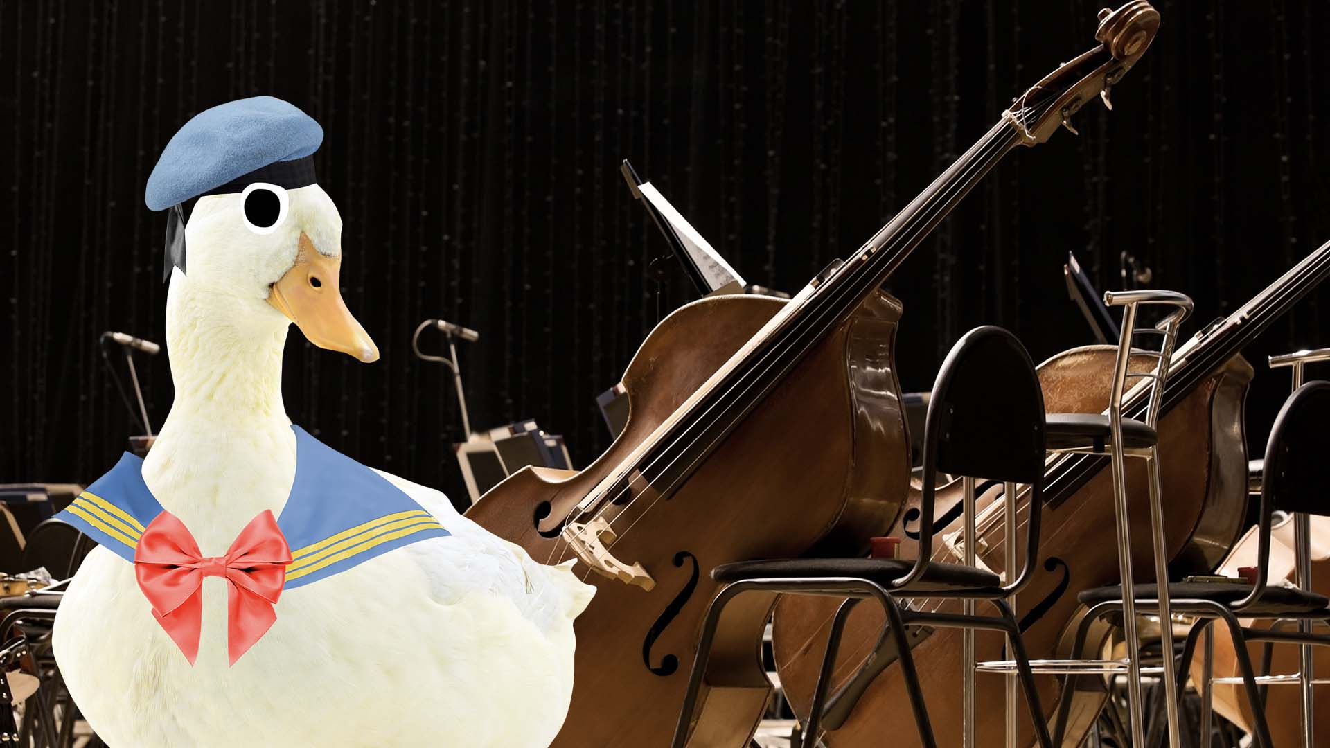 A duck standing next to a stage