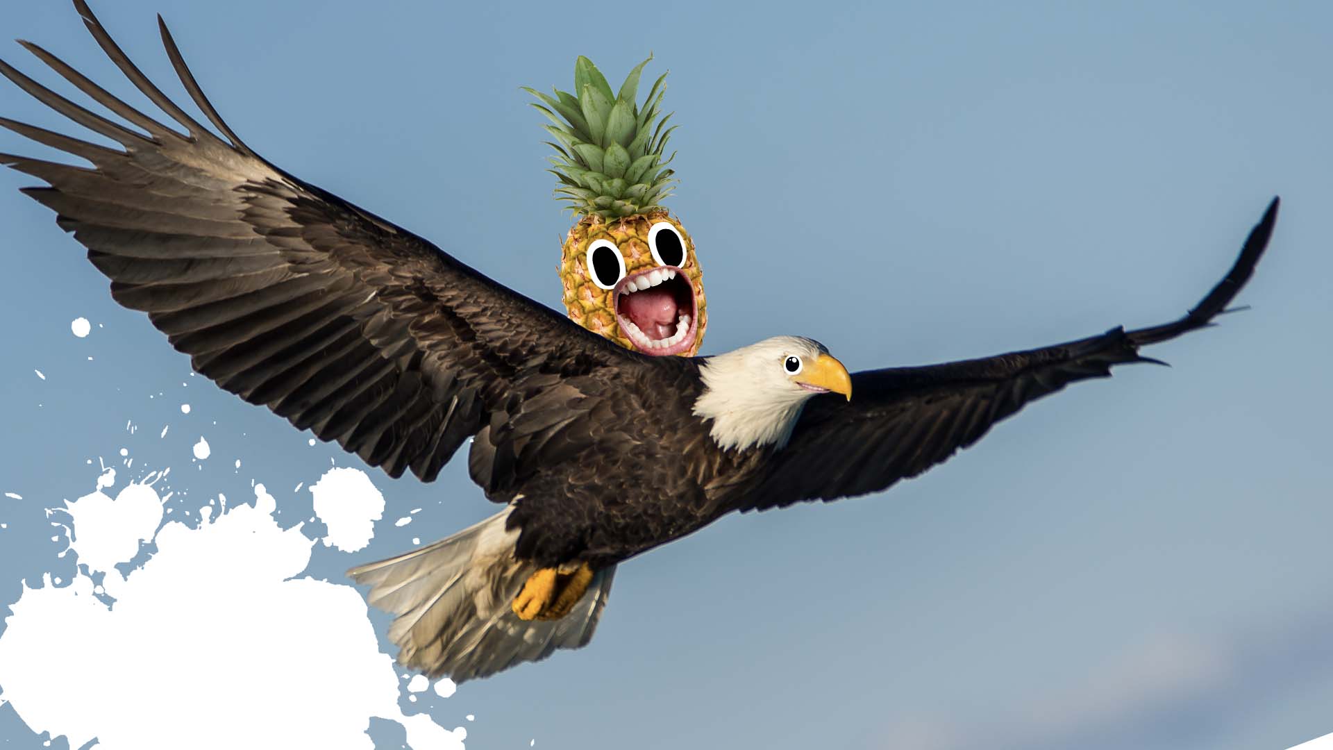An eagle and a pineapple