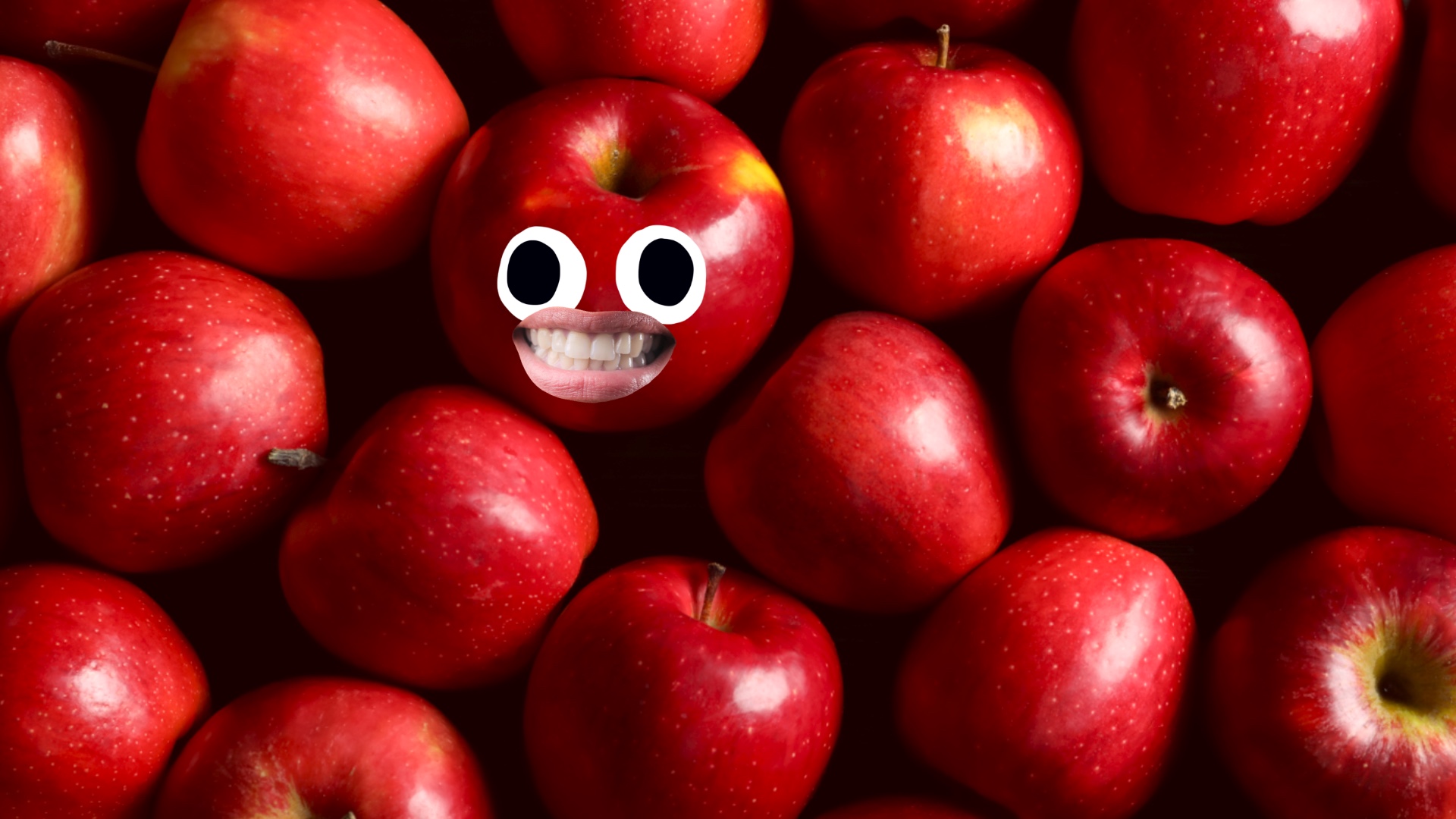 A bunch of shiny red apples
