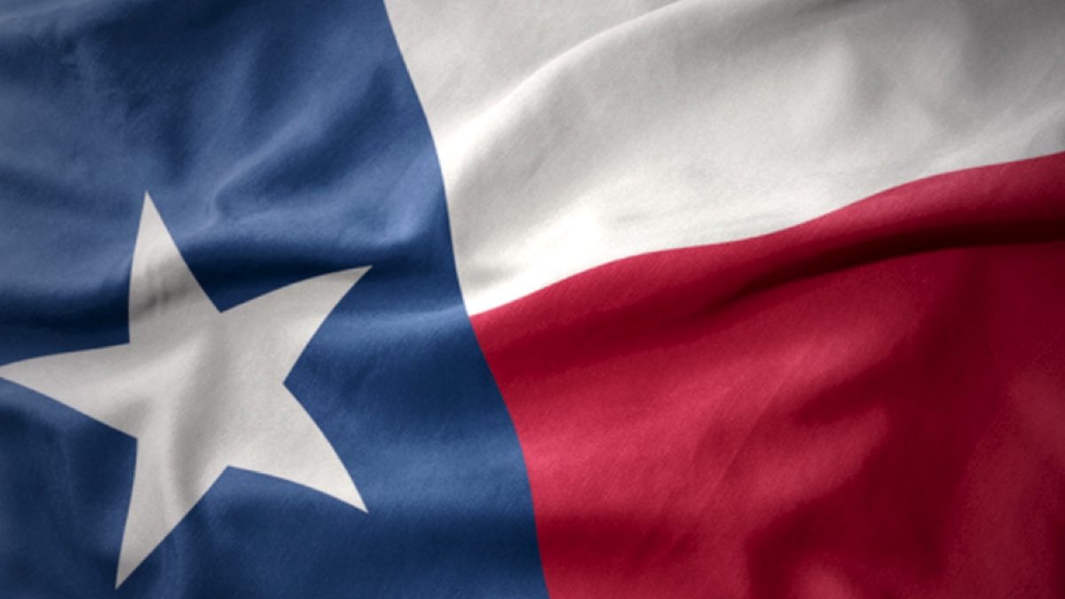 The Texas Flag