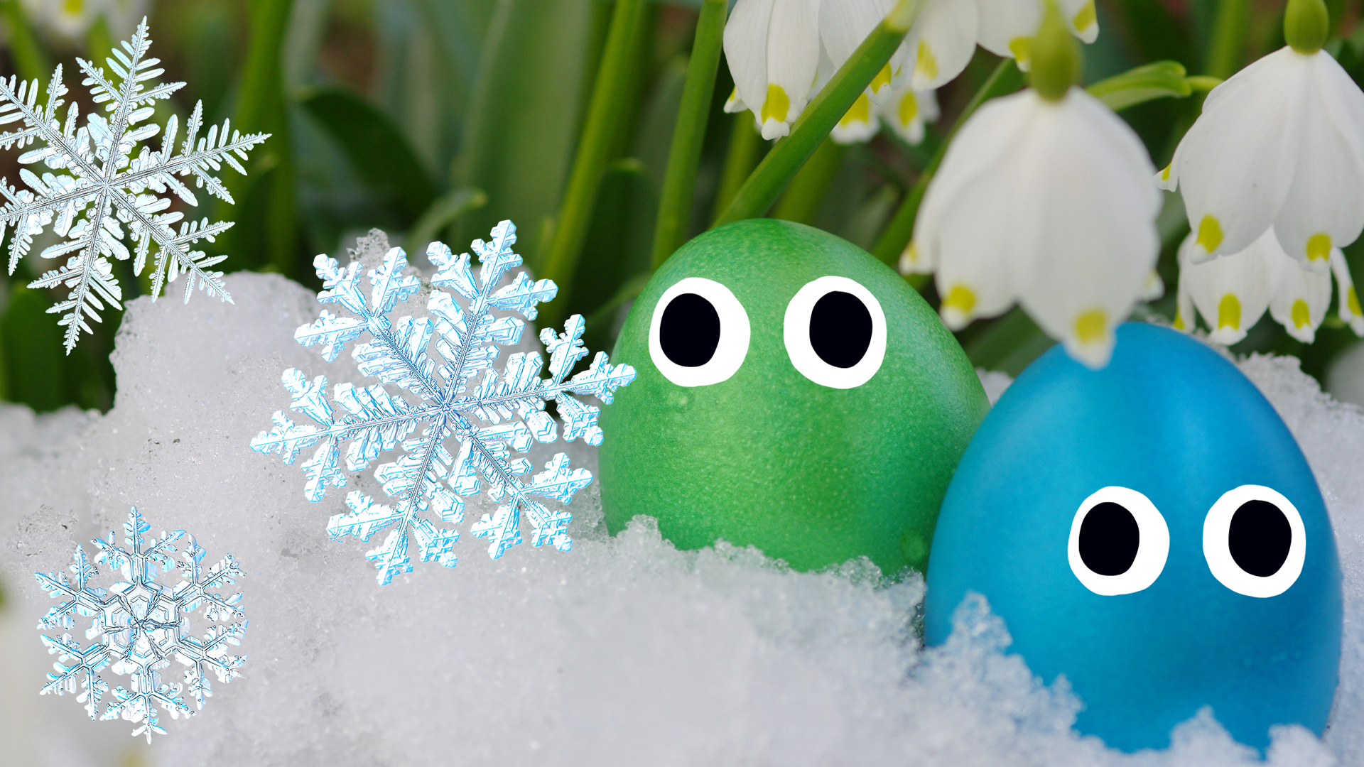 Eggs with eyes and snowflakes