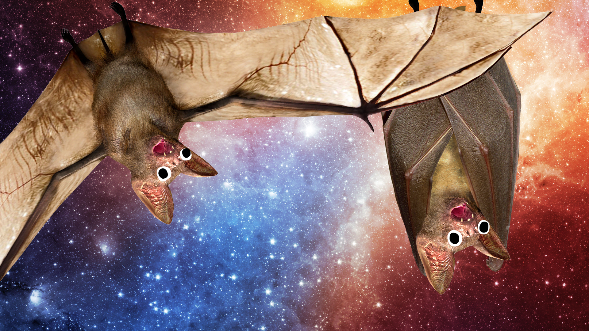 Bats on space background