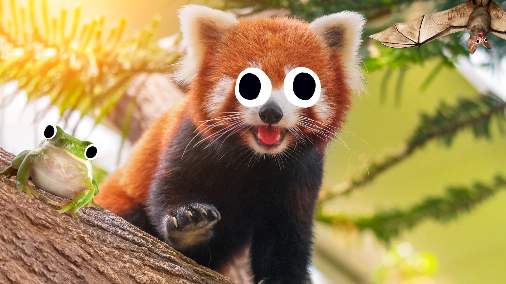 Red panda with Beano bat and frog