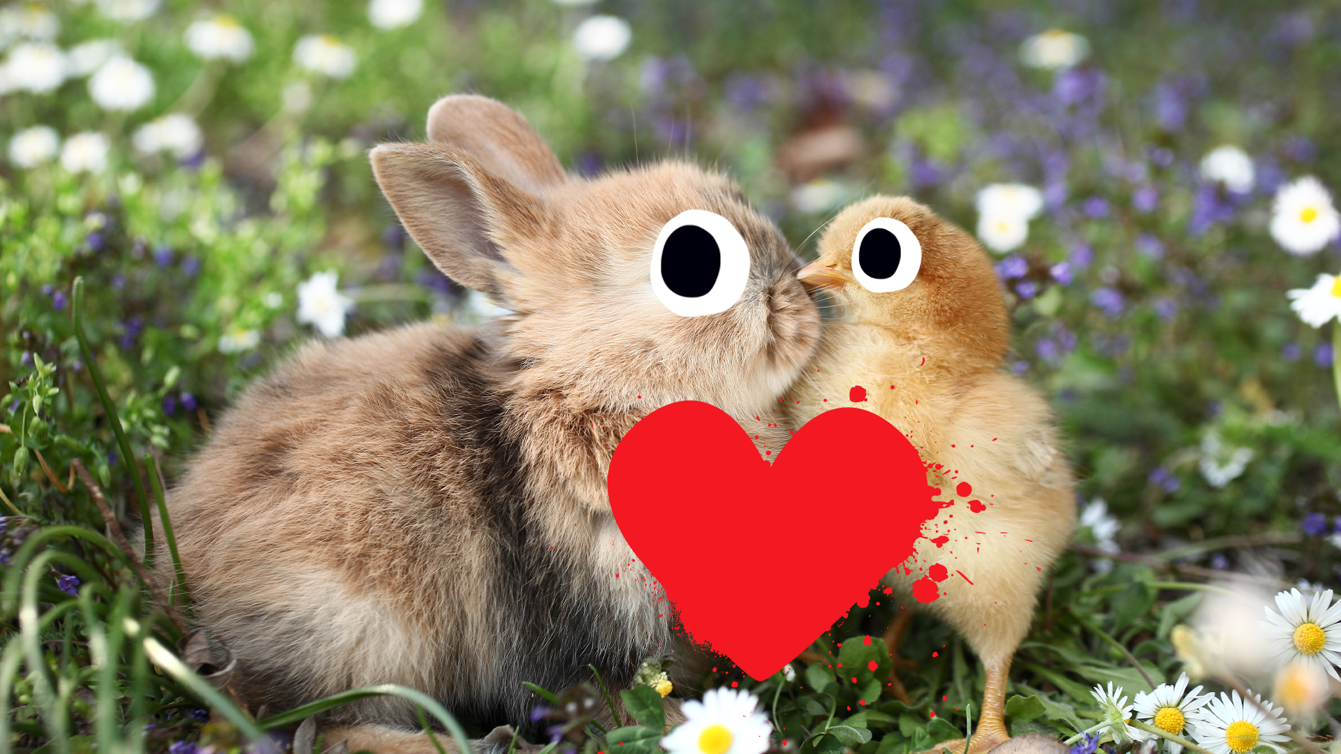 Bunny and chick with Beano love heart