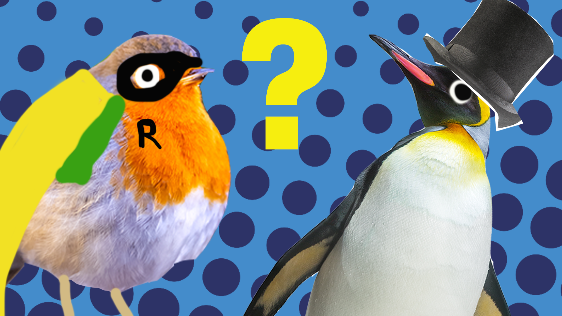 Penguin and robin with question mark and blue background