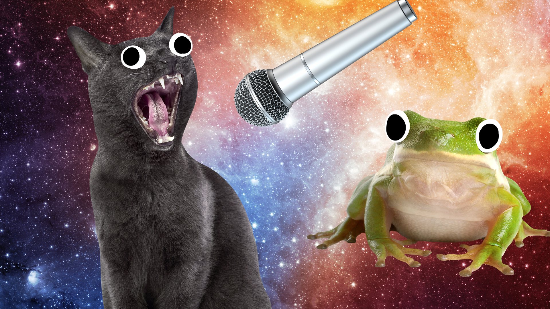 Beano cat and frog with mic on space background 