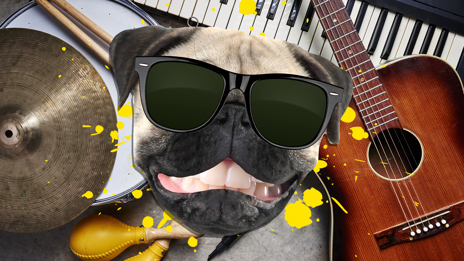 A dog surrounded by musical instruments