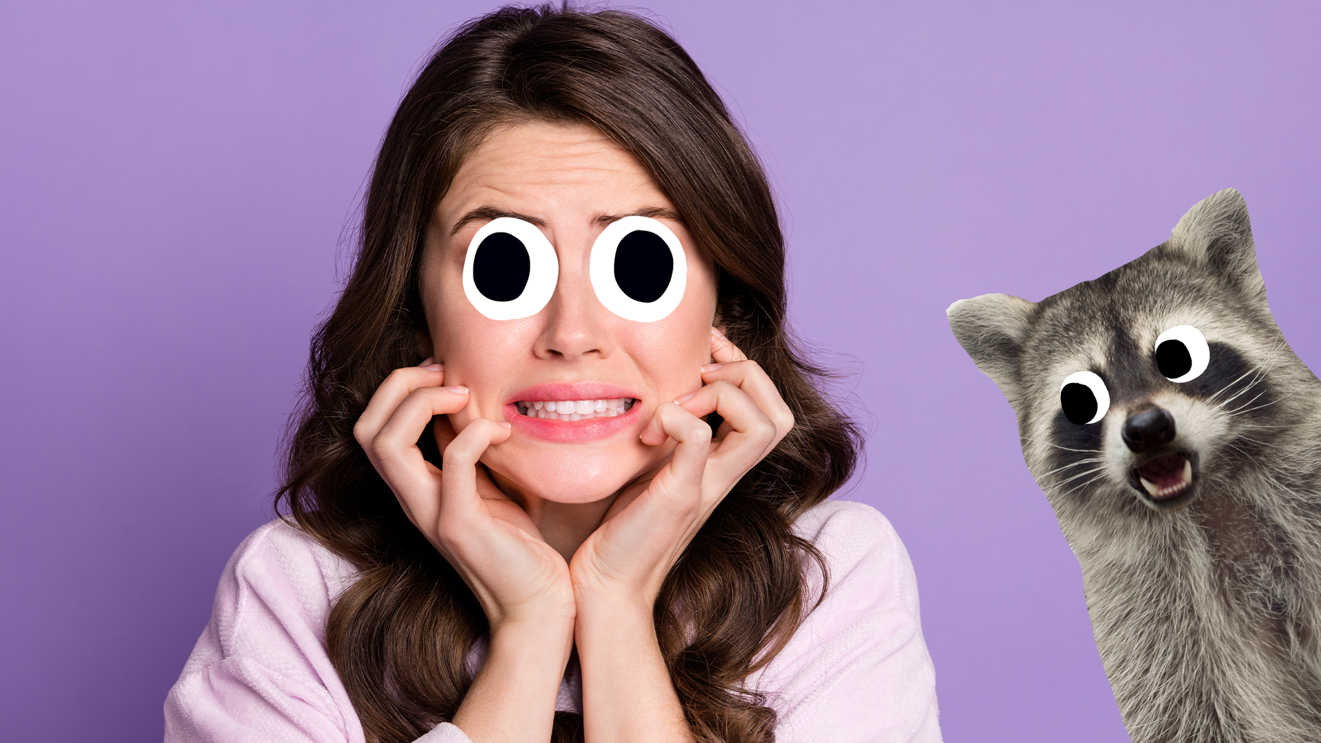 Woman looking scared on purple background with Beano raccoon 