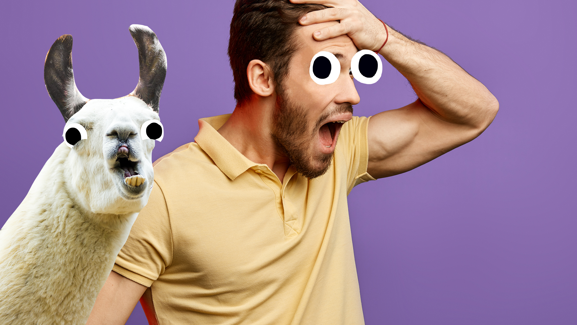Man looking panicked with derpy llama
