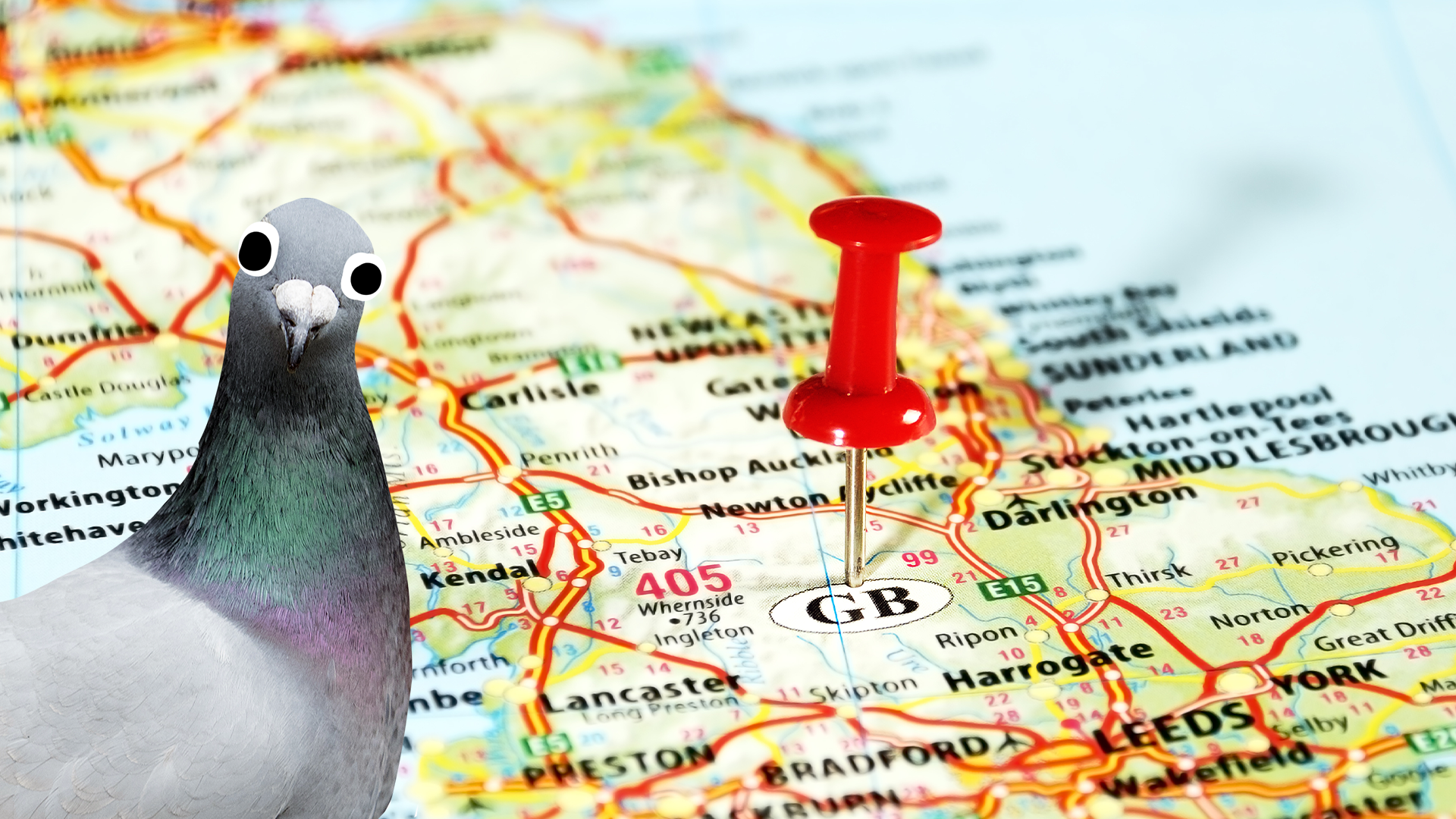 Map of the UK with Beano pigeon
