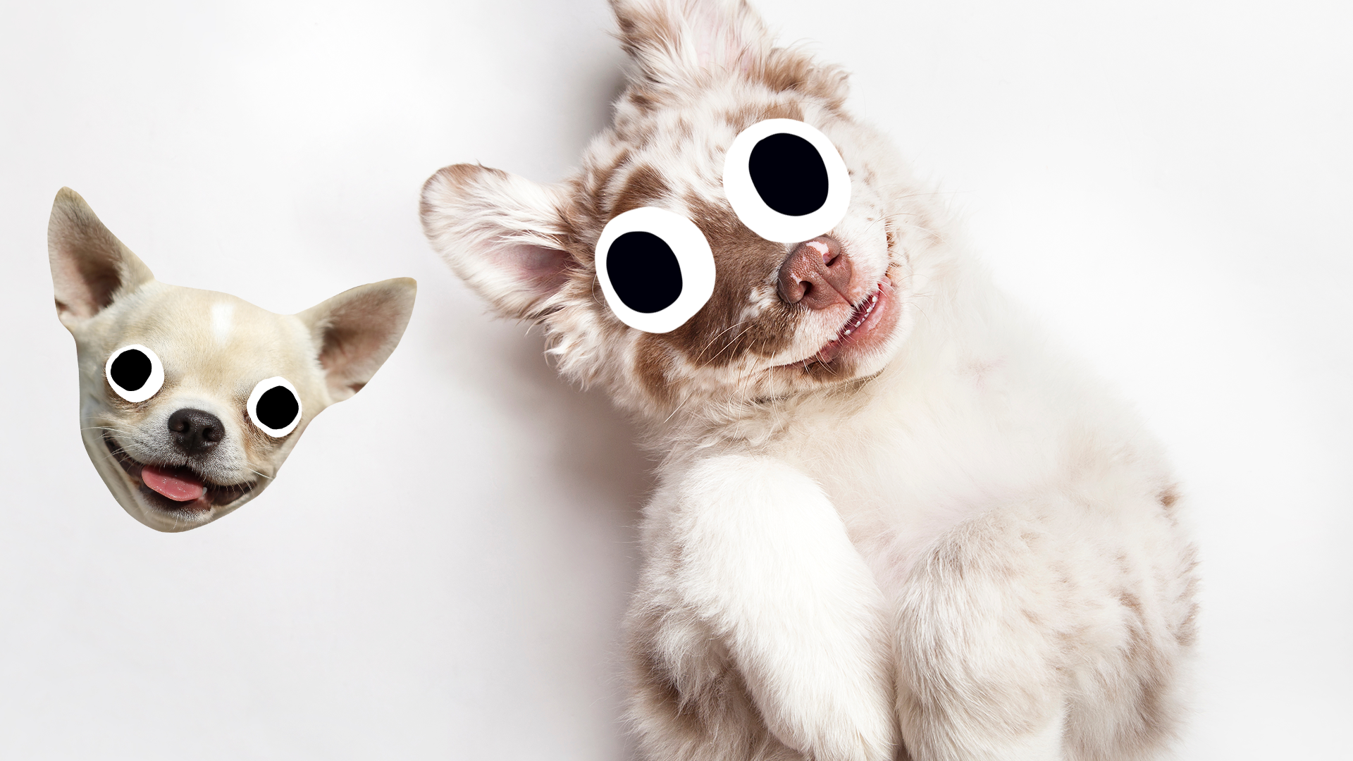 Goofy dog and Beano dog face on white background