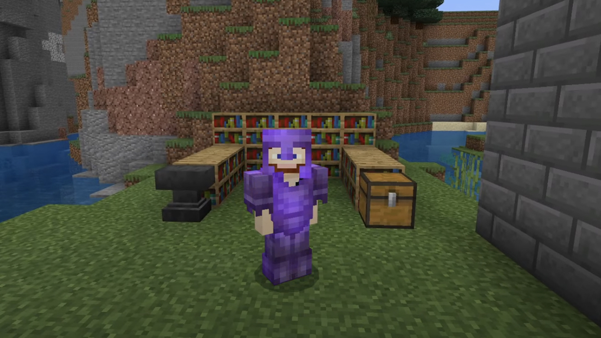 A Minecraft character covered in armour
