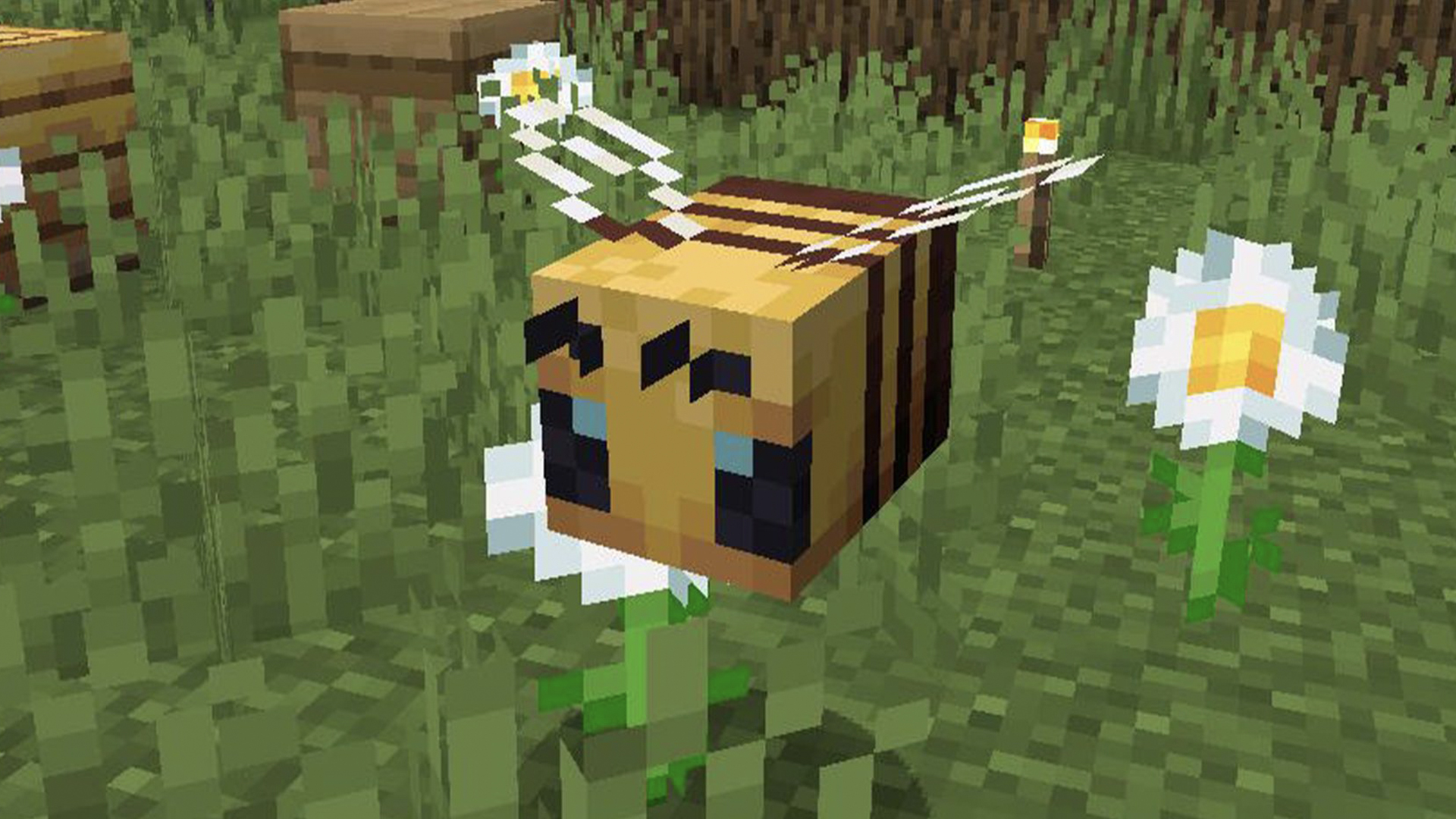 A Minecraft Bee