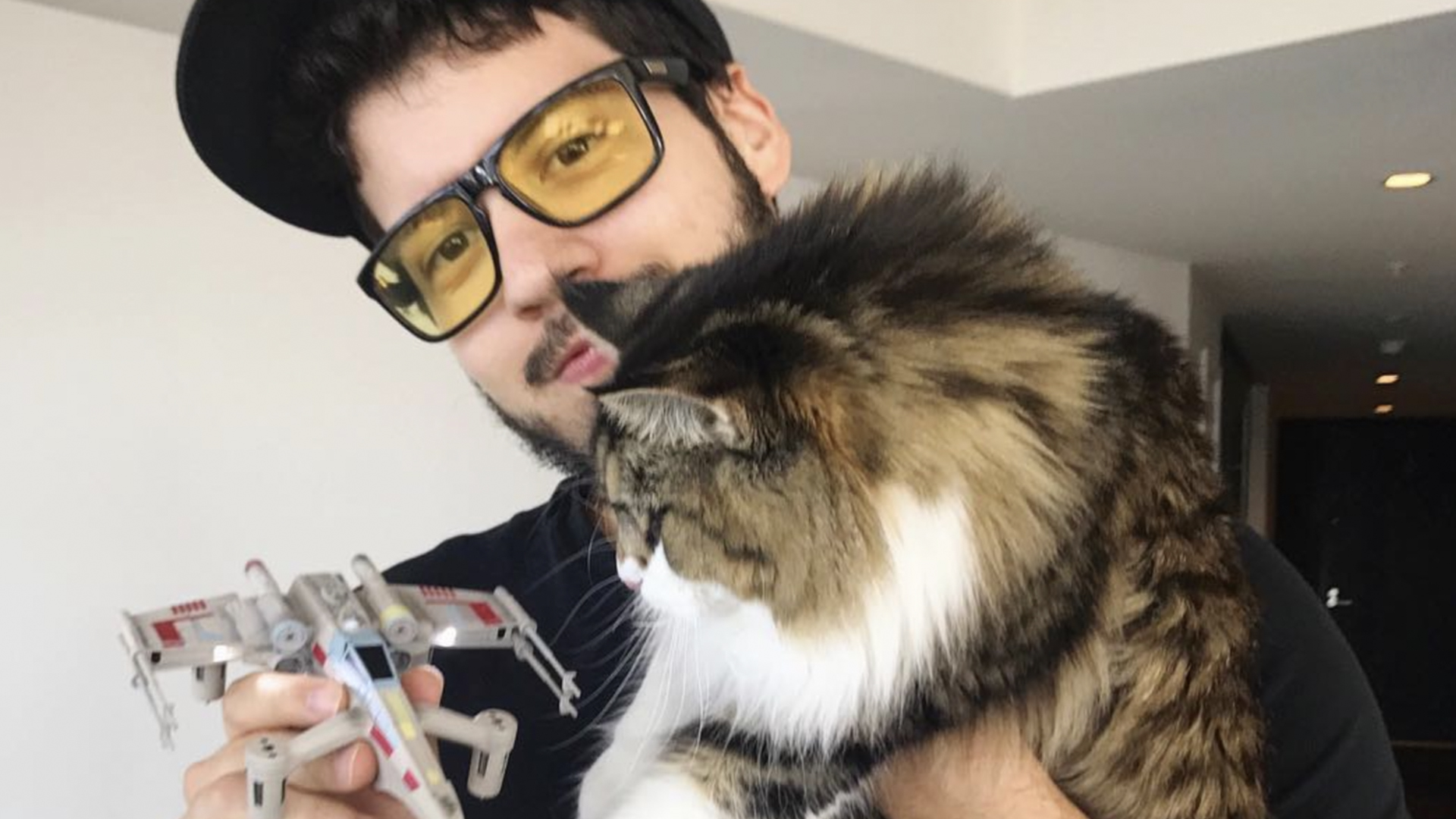 Typical Gamer and a fluffy cat