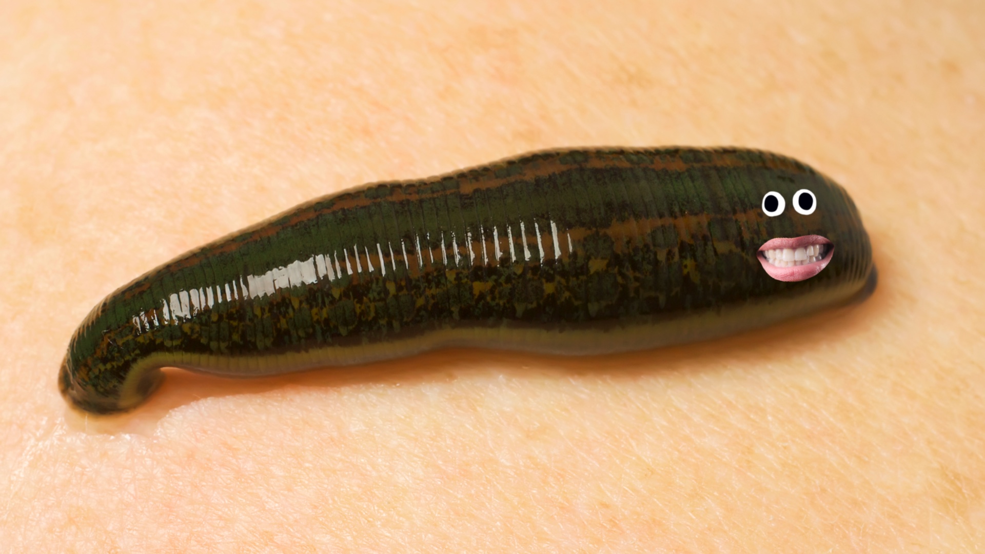 30 Really Weird and Disgusting Animal Facts 