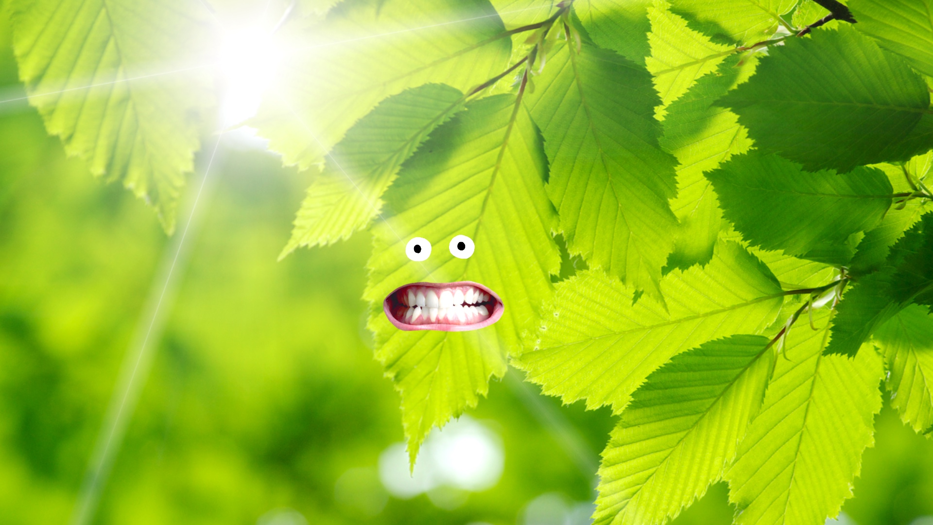 A grinning leaf